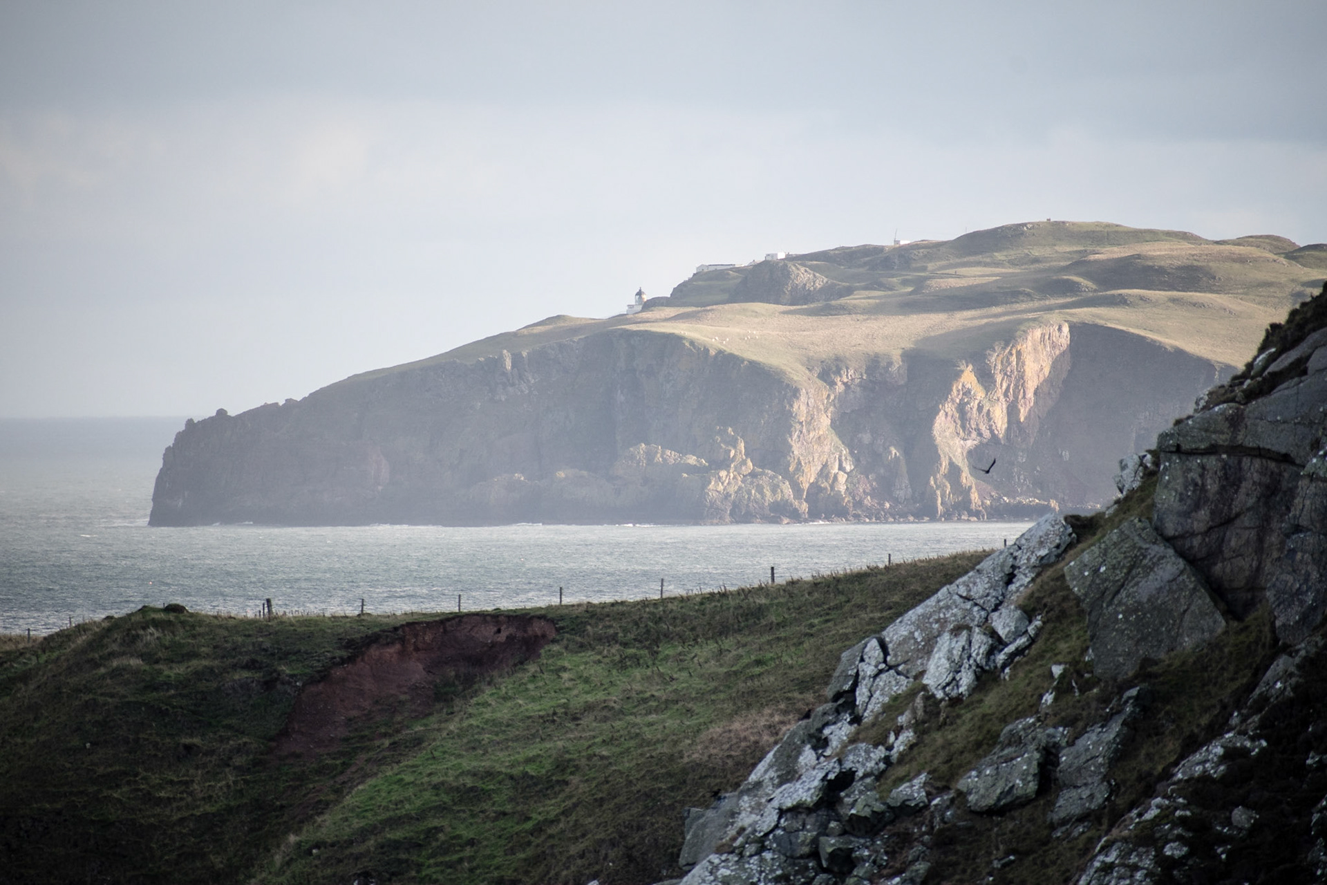 View from Fast Castle to St Abb's Head distant. I've stayed at the lightkeeper's cottage there.