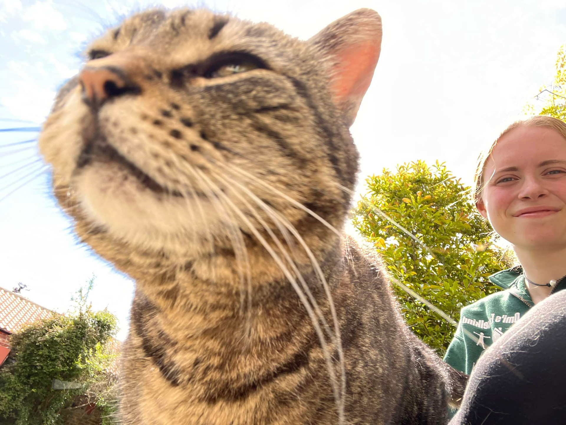The queen of Primrose Hill Farm
