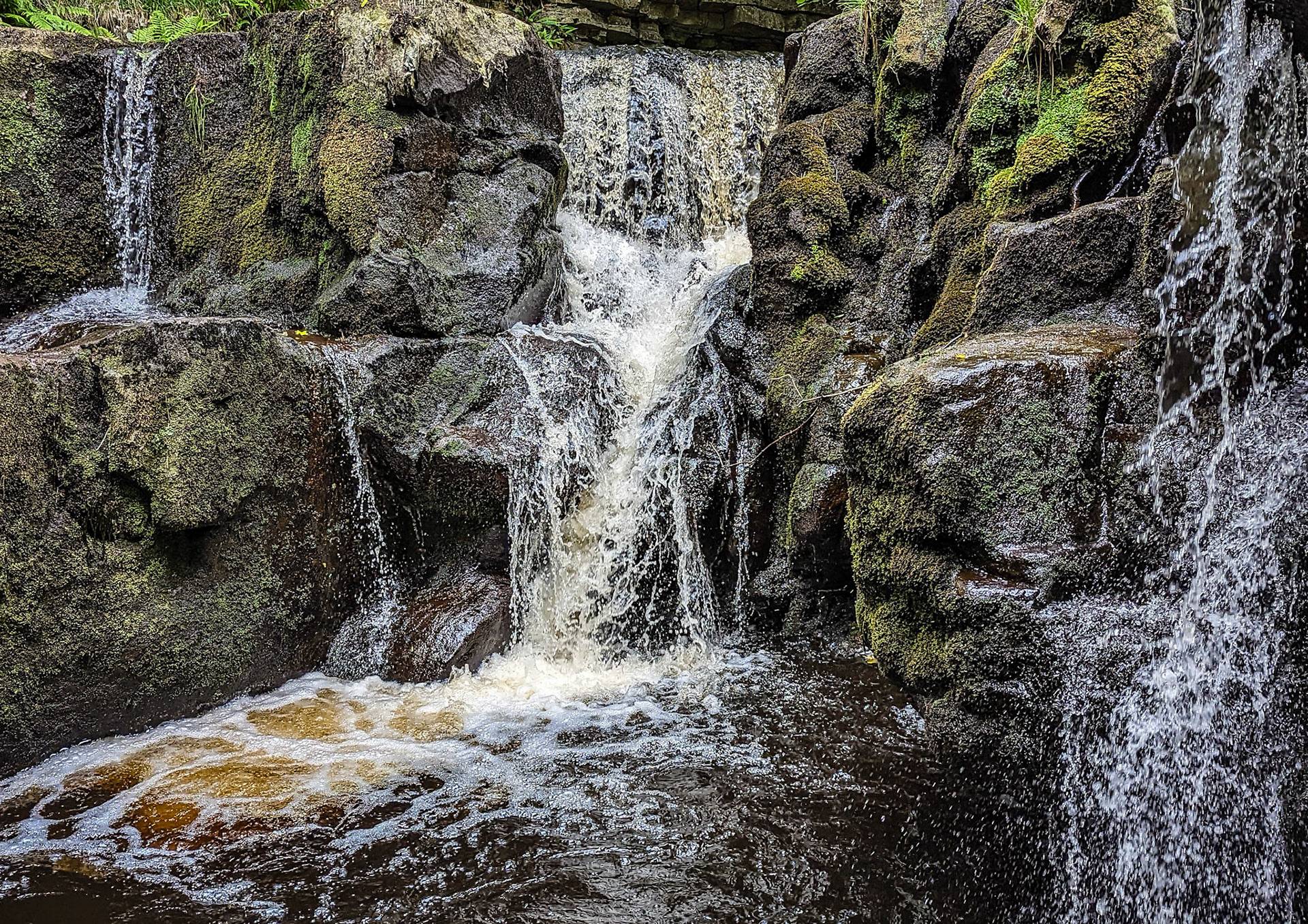 Nelly Ayre Foss, North York moors
