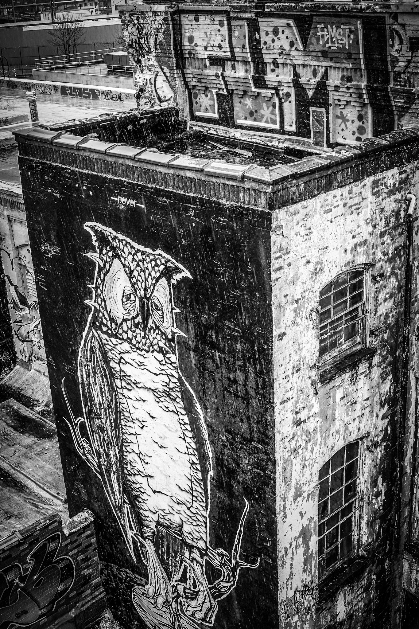 Lovesick Owl from the roof of 5Pointz,  Queens