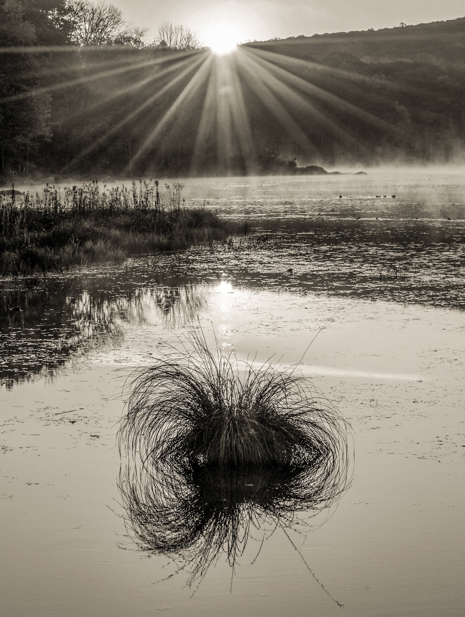 Harriman State Park, fall dawn.