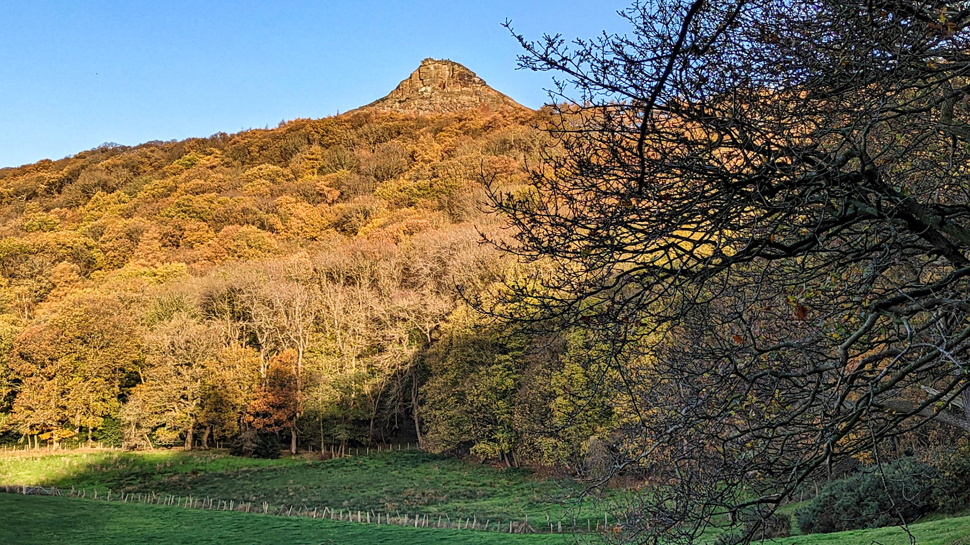Roseberry Topping, Newton Wood.