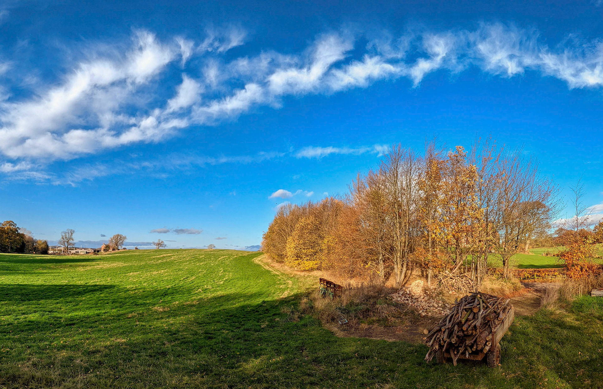 A wood cart on the farm.