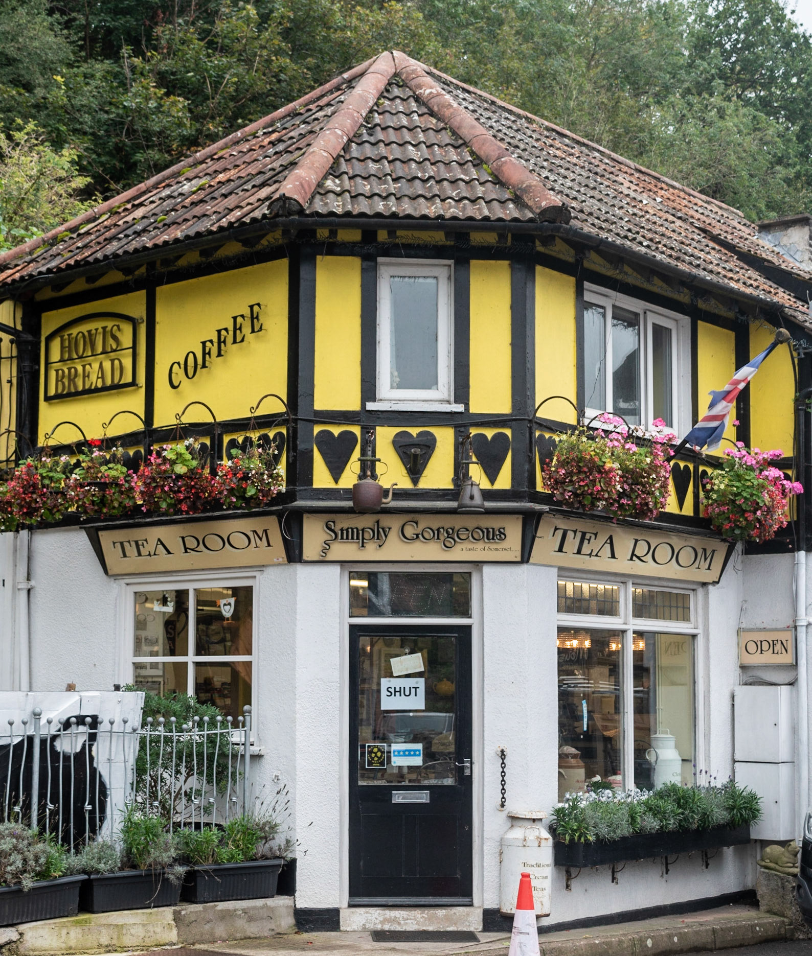 Cheddar Gorge, Somerset