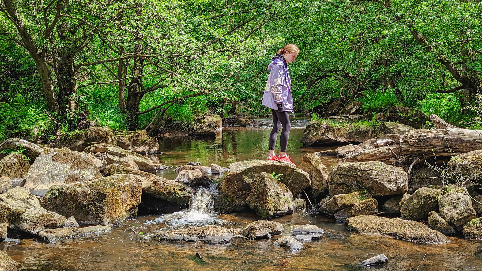 Eller Beck, North York Moors
