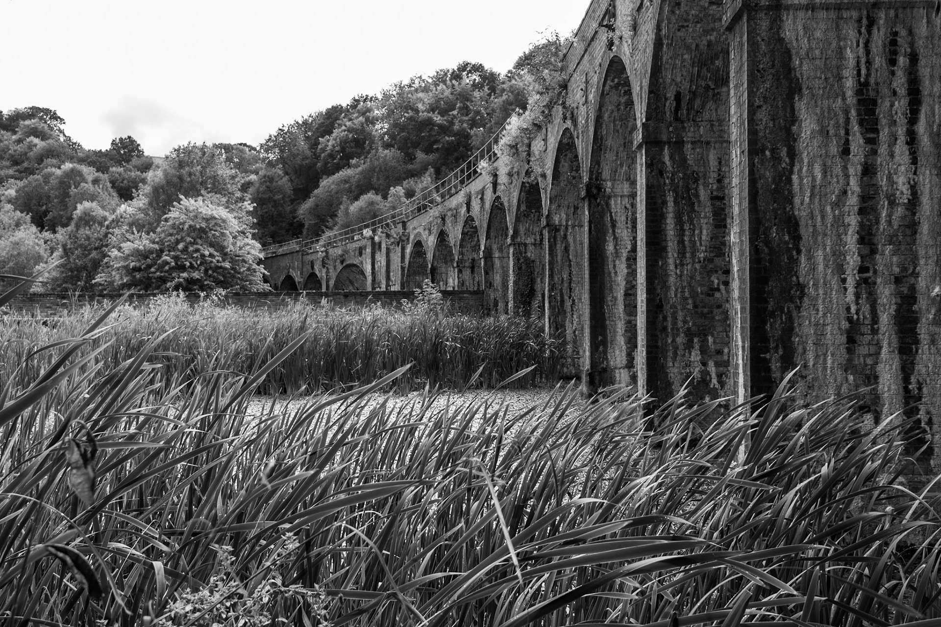 Upper Furnace Pool , Coalbrookdale