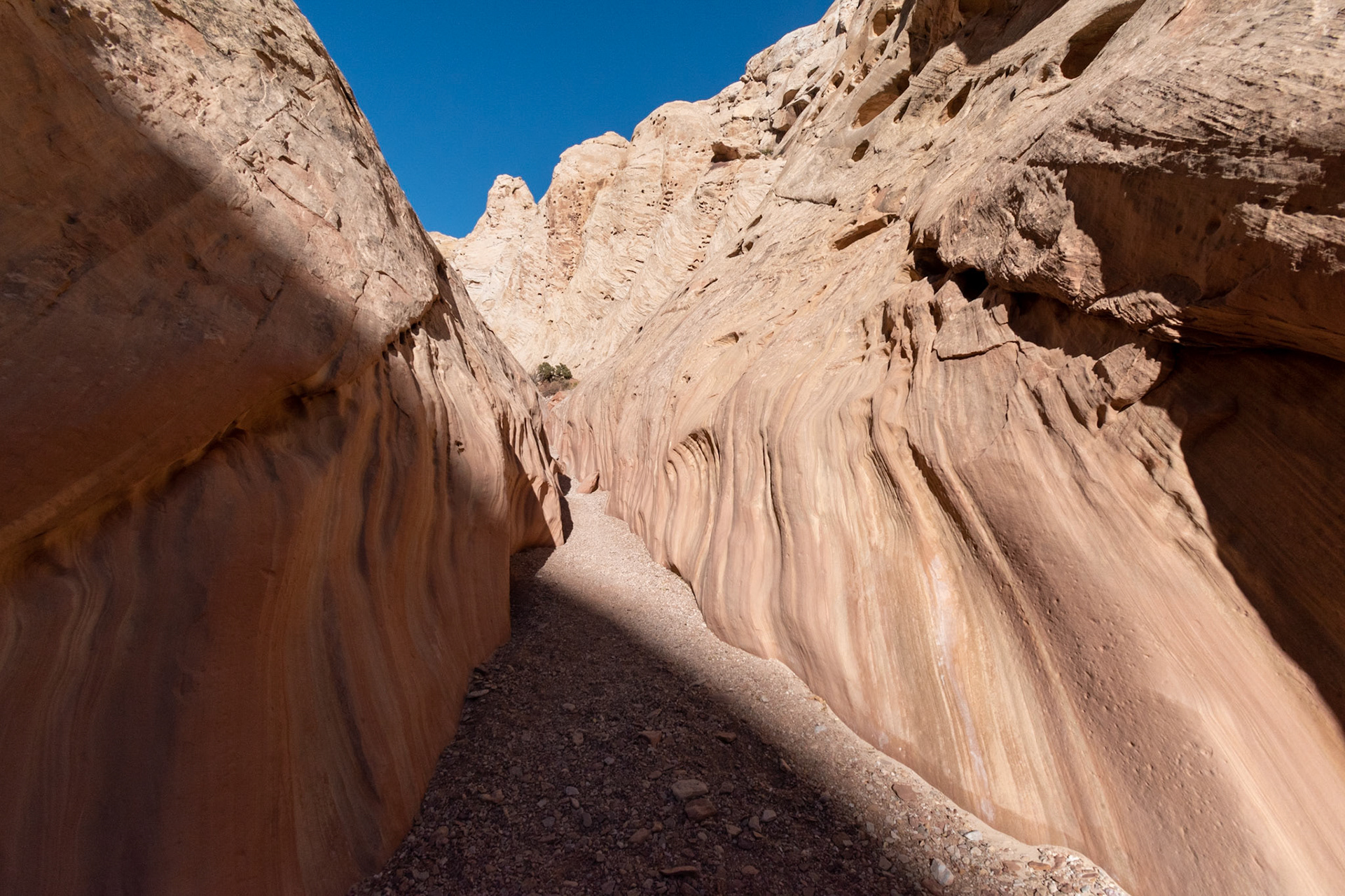 Bell Canyon in the San Rafael Swell