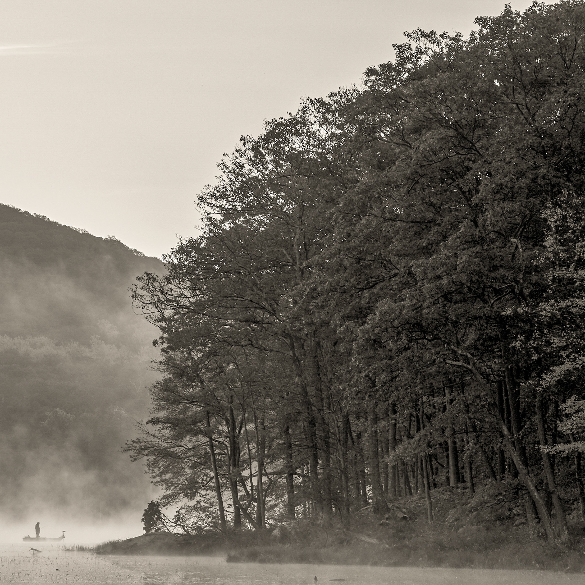 Harriman State Park, fall dawn.