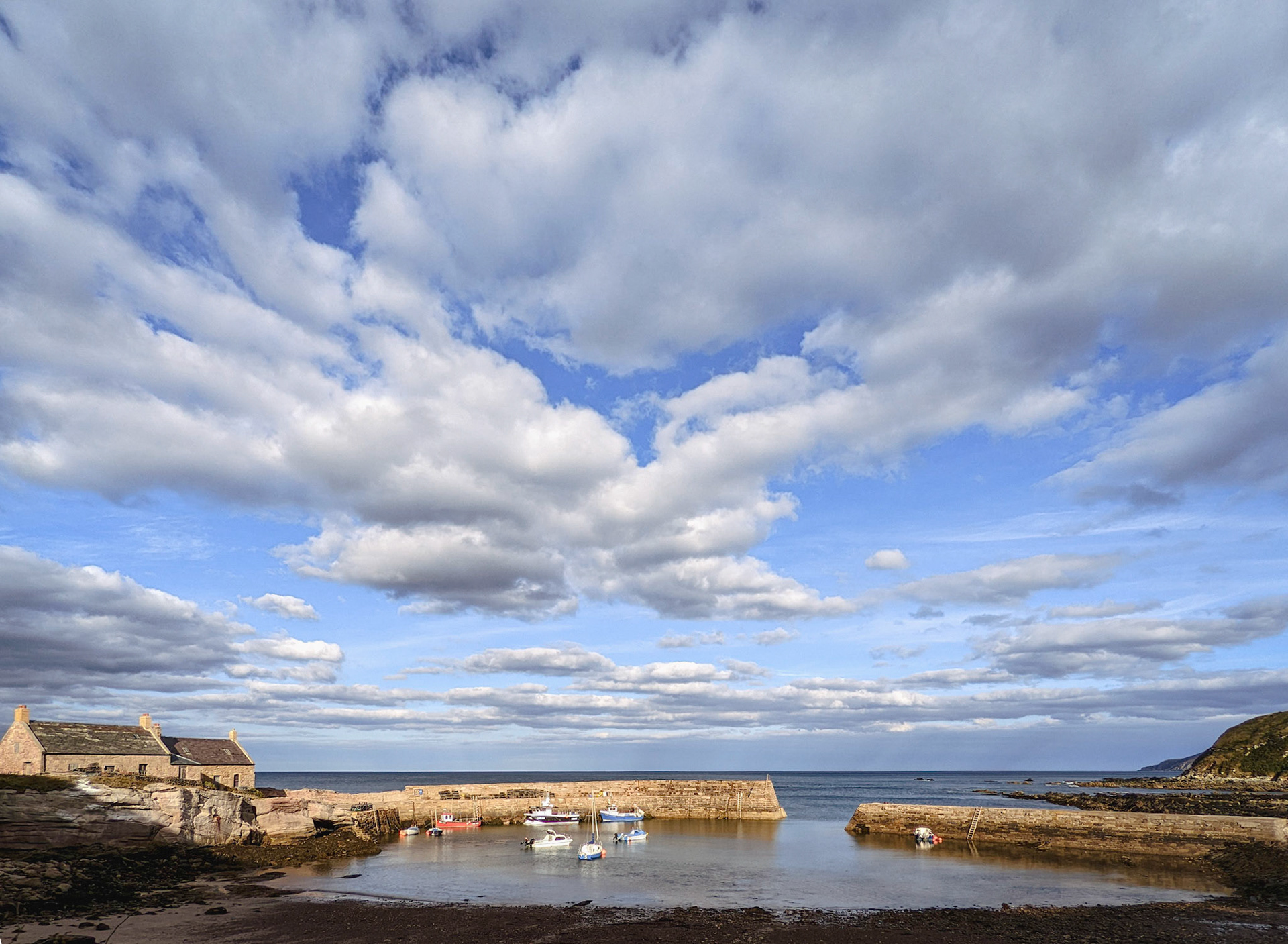 Cove