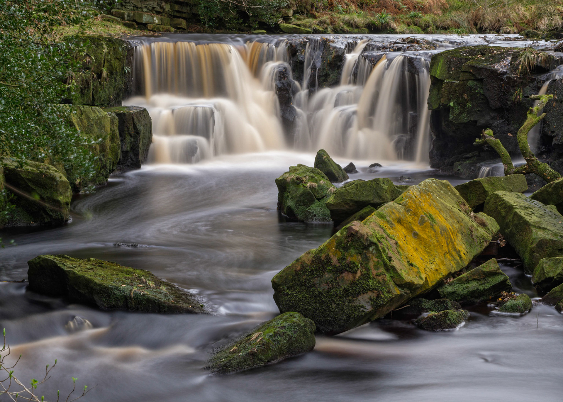 Nelly Ayre Foss, near Goathland