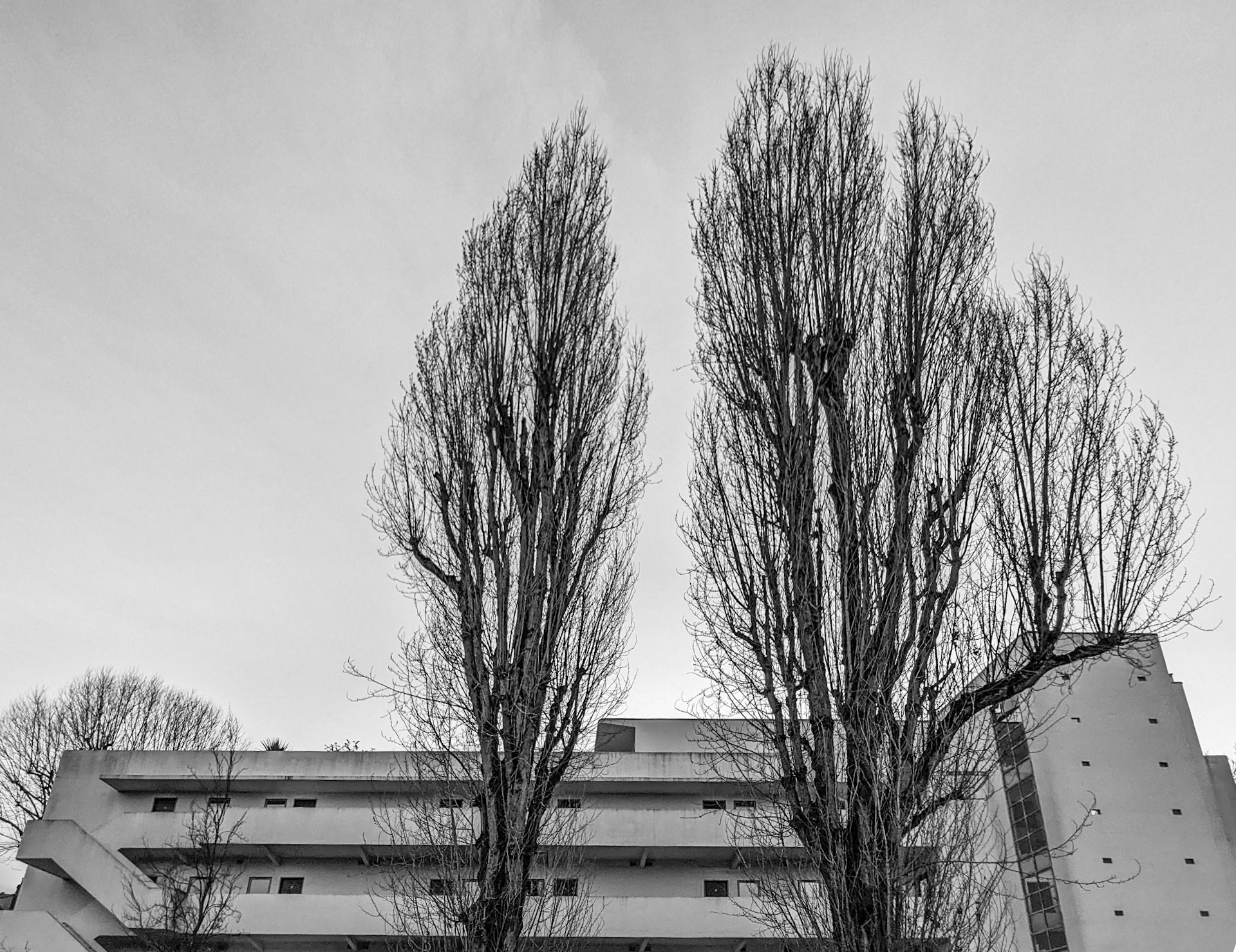 Walter Gropius, Marcel Breuer, László Moholy-Nagy and Agatha Christie lived here.Isokon Flats, also known as Lawn Road Flats, on Lawn Road, Hampstead, London NW3, is a concrete block of 36 flats, designed by architect Wells Coates for Molly and Jack Pritchard. The building opened on 9 July 1934 as an experiment in minimalist urban living.