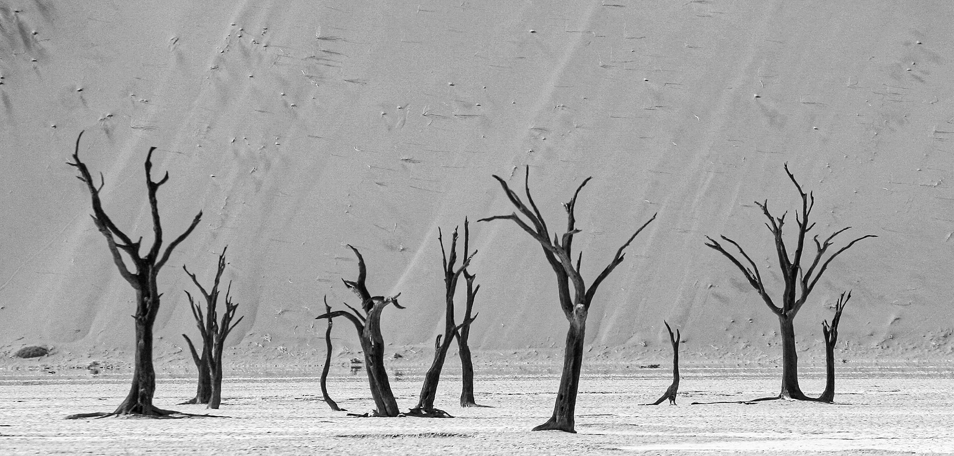 Deadvlei, Namibia
