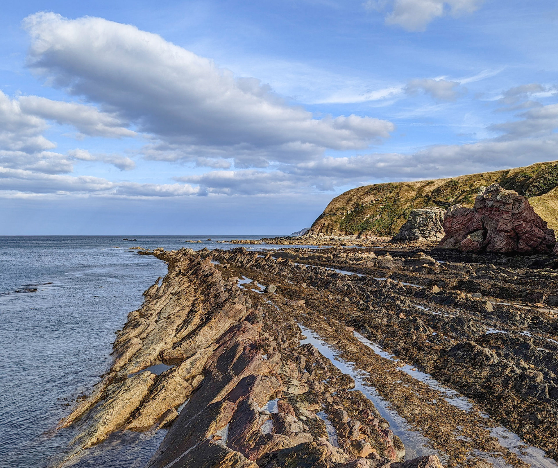 Cove