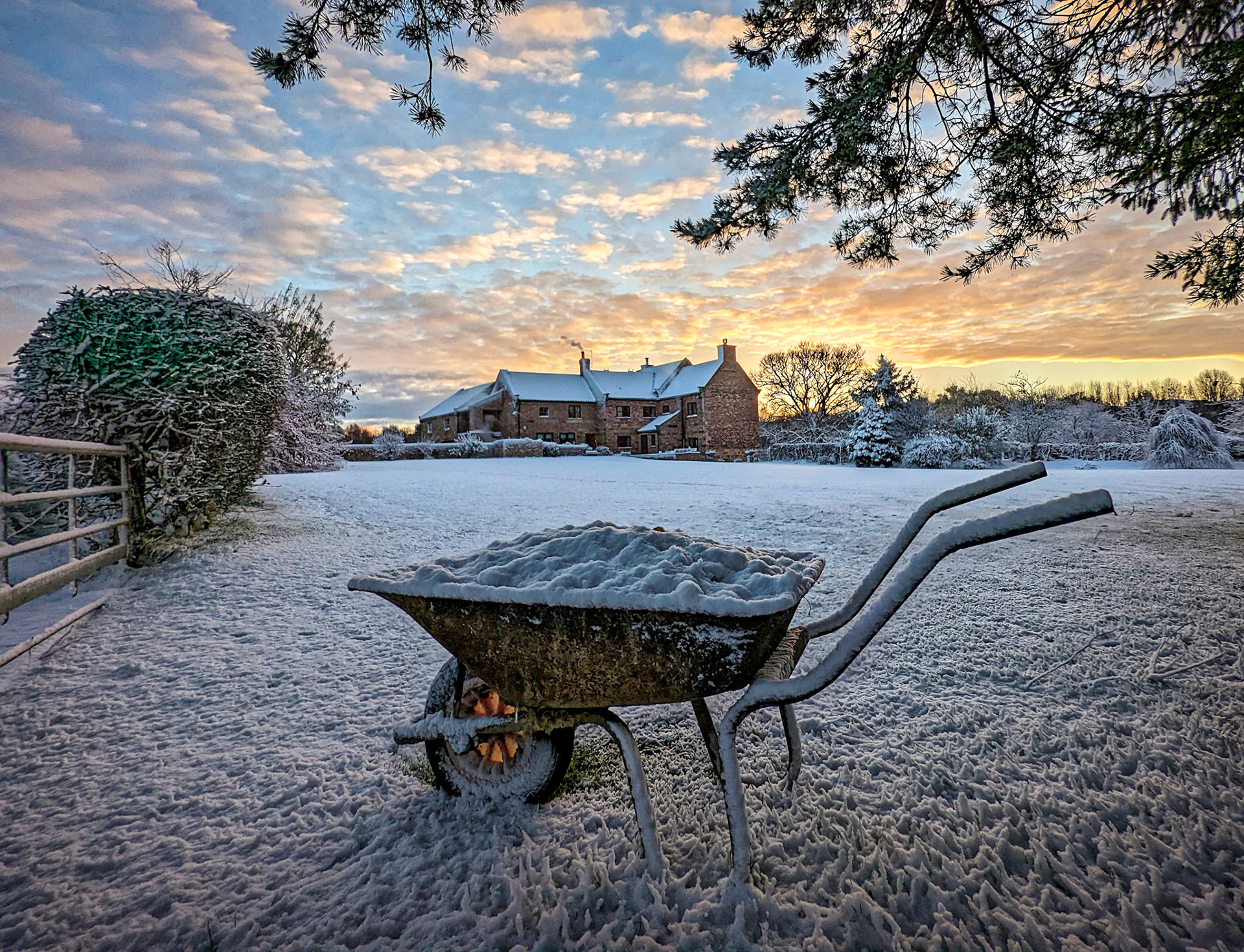 A barrow of apples at dawn.