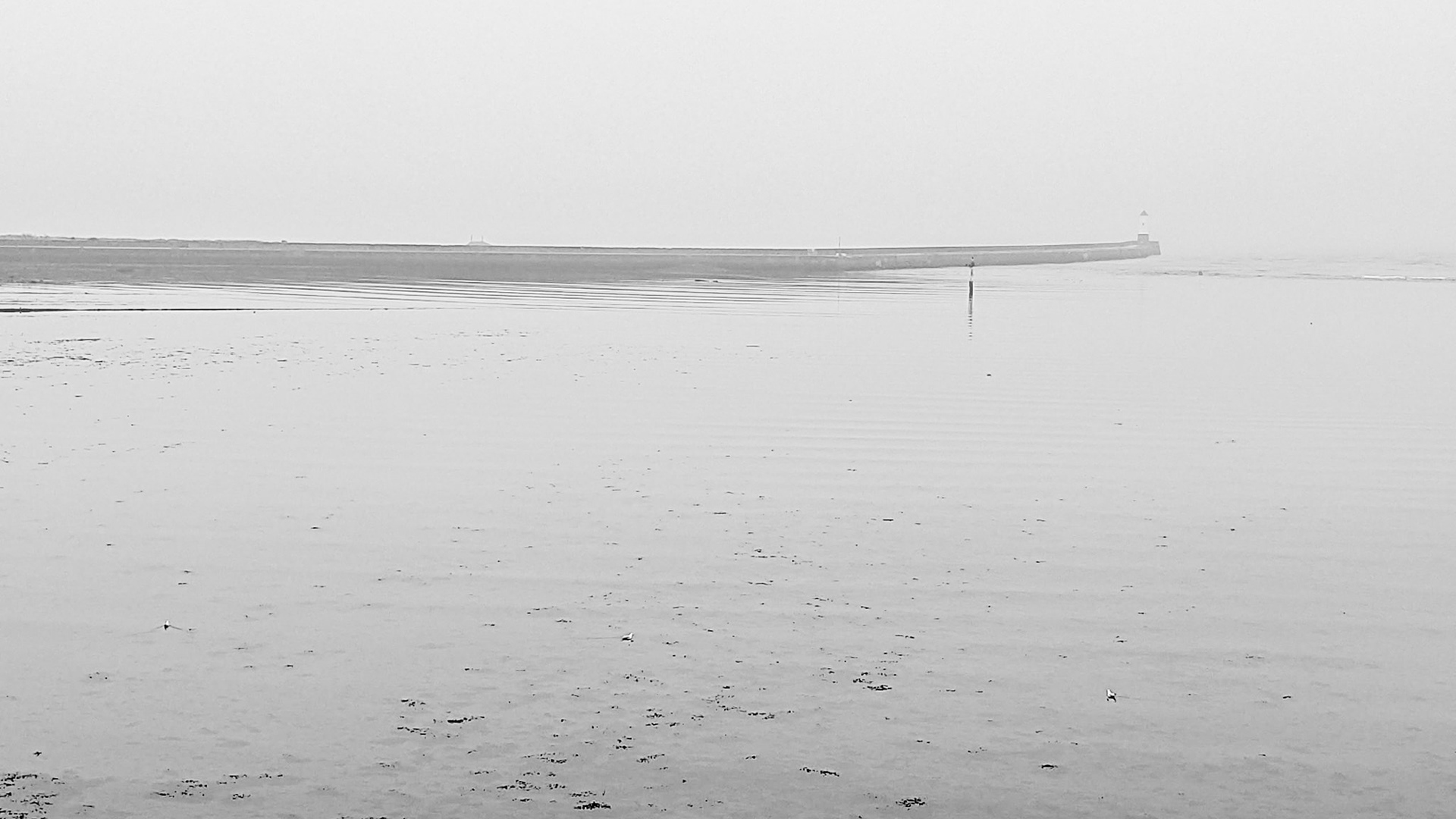 Looking to the lighthouse at misty Tweedmouth. This album shows the Old Bridge (1524), the Royal Tweed Bridge (1928) and the Royal Border Bridge (1850).