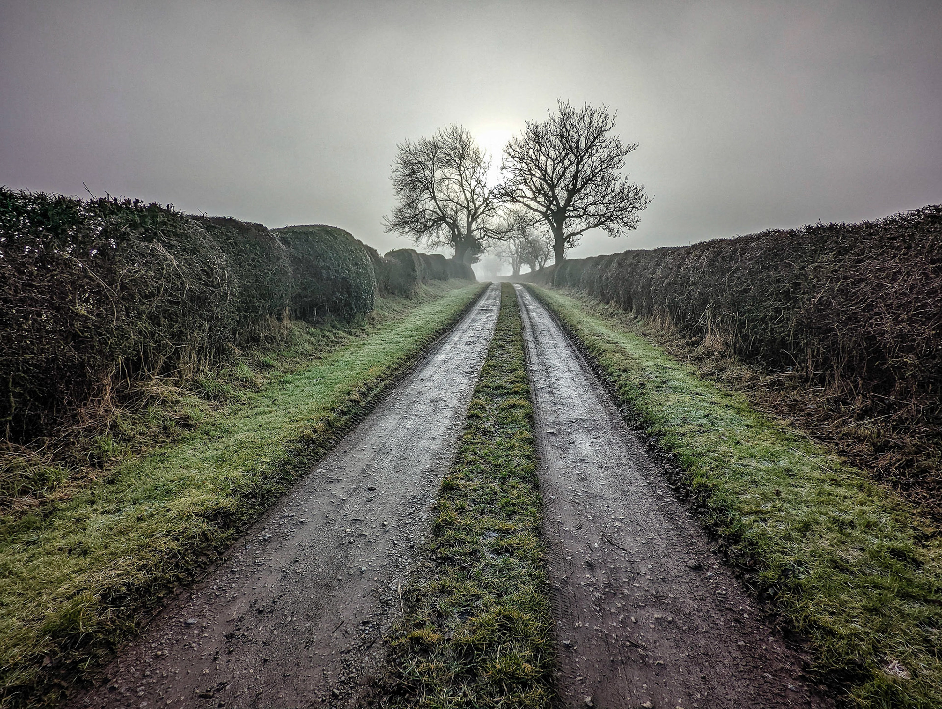 Foggy morning in Little Broughton.
