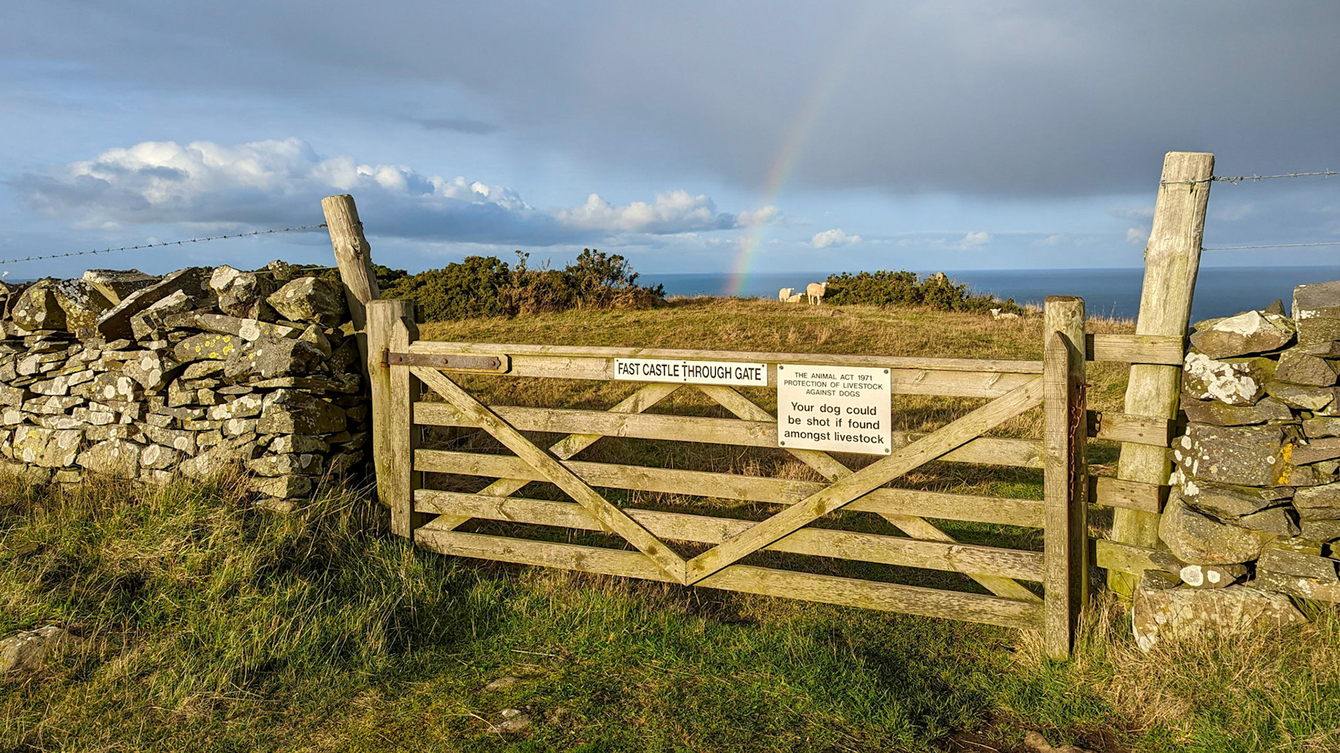 Walk to Fast Castle, Berwickshire,, Scotland.