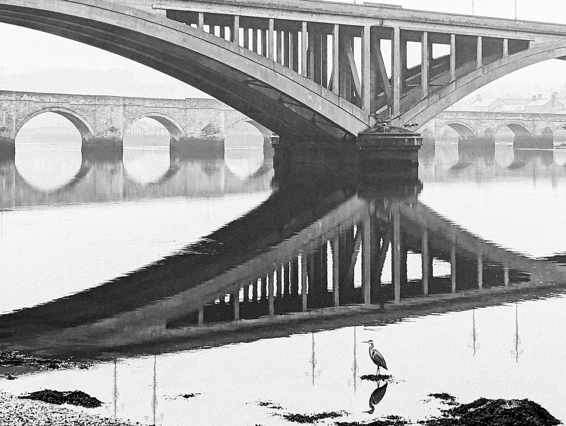 This album shows the Old Bridge (1524), the Royal Tweed Bridge (1928) and the Royal Border Bridge (1850).