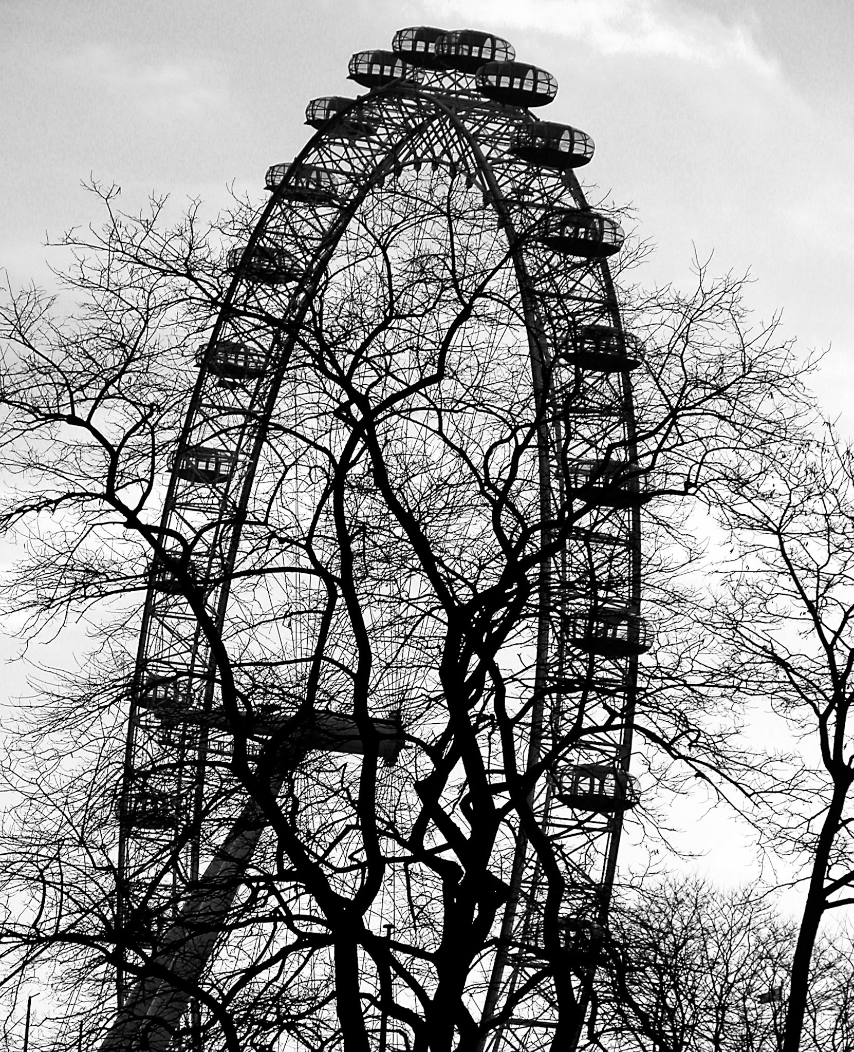 London Eye from the South Bank