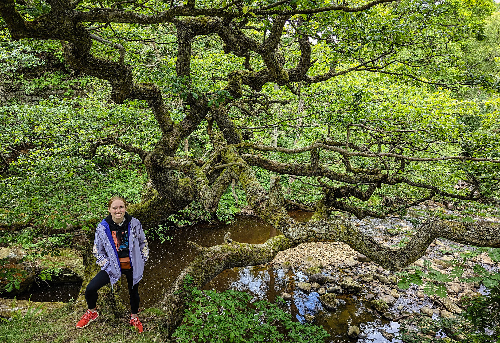 Eller Beck, North York Moors