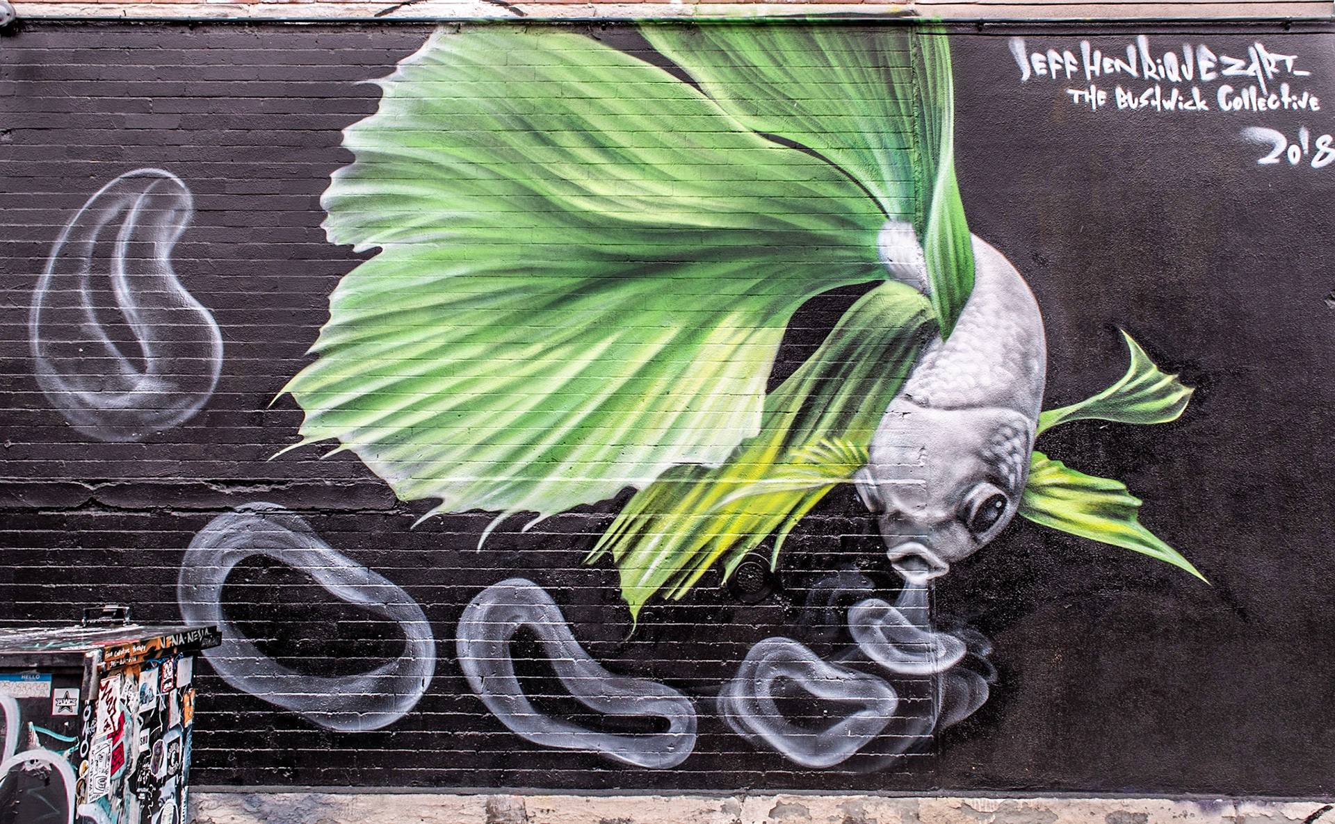 Bushwick, Brooklyn, NYC