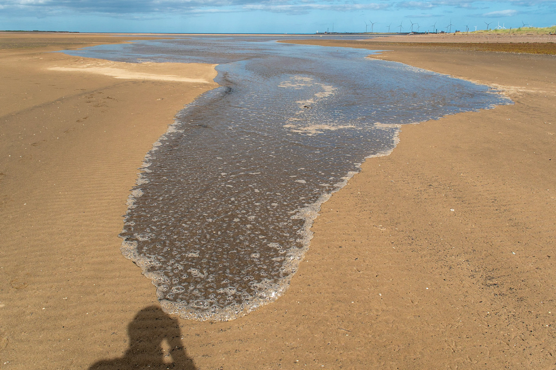 Teesmouth, north shore