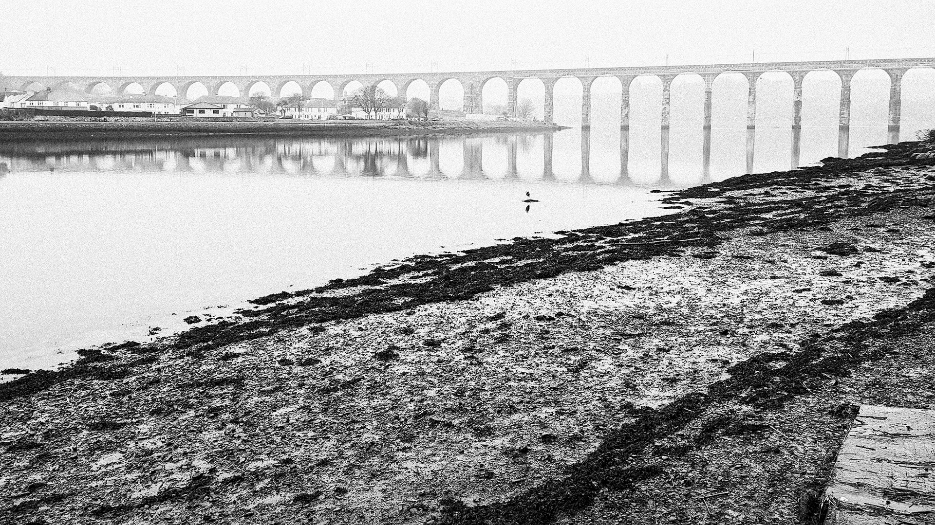 This album shows the Old Bridge (1524), the Royal Tweed Bridge (1928) and the Royal Border Bridge (1850).
