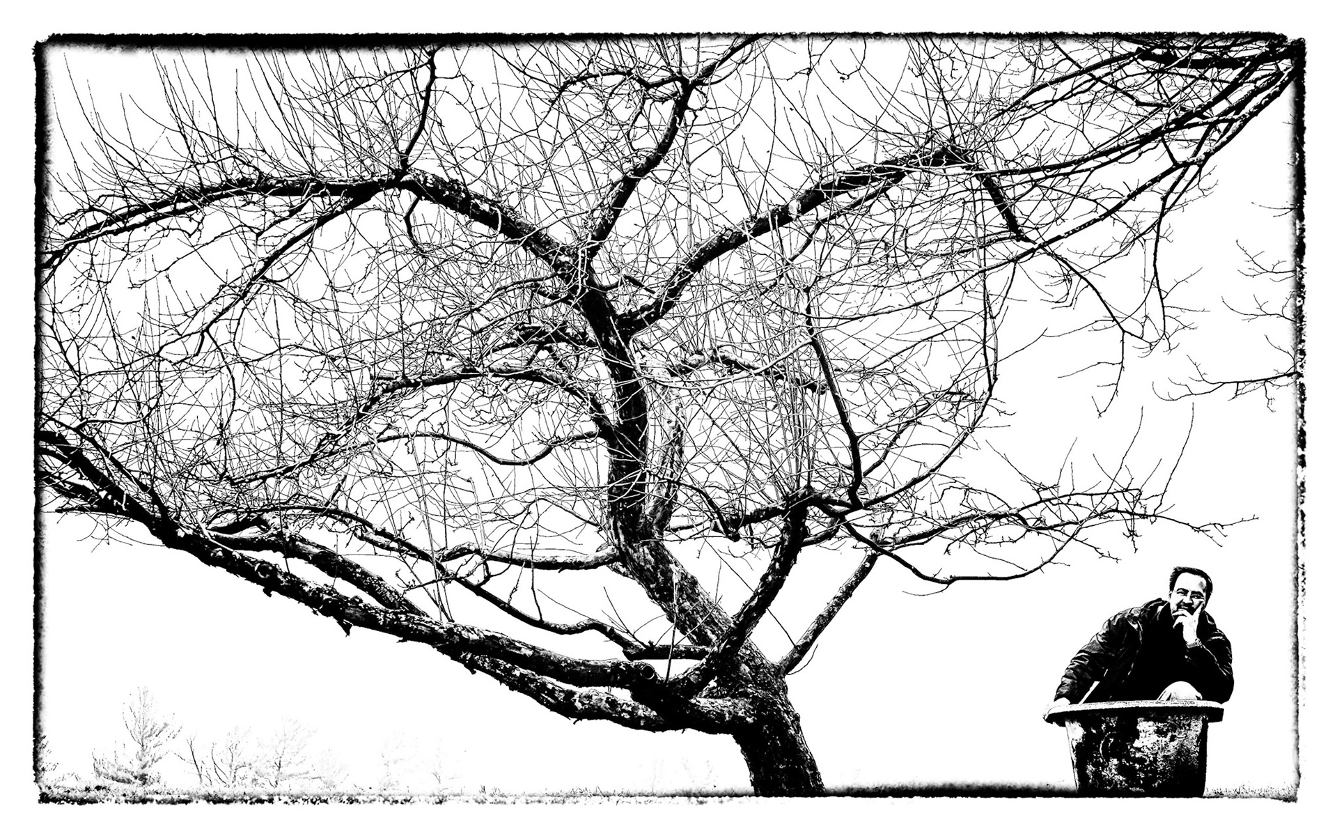 Shelborne Farm, Vermont