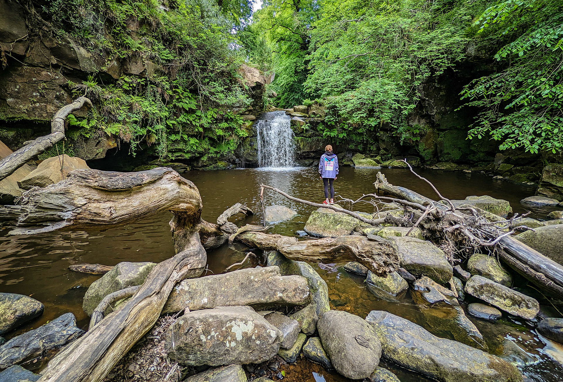Thomason Foss, North York moors