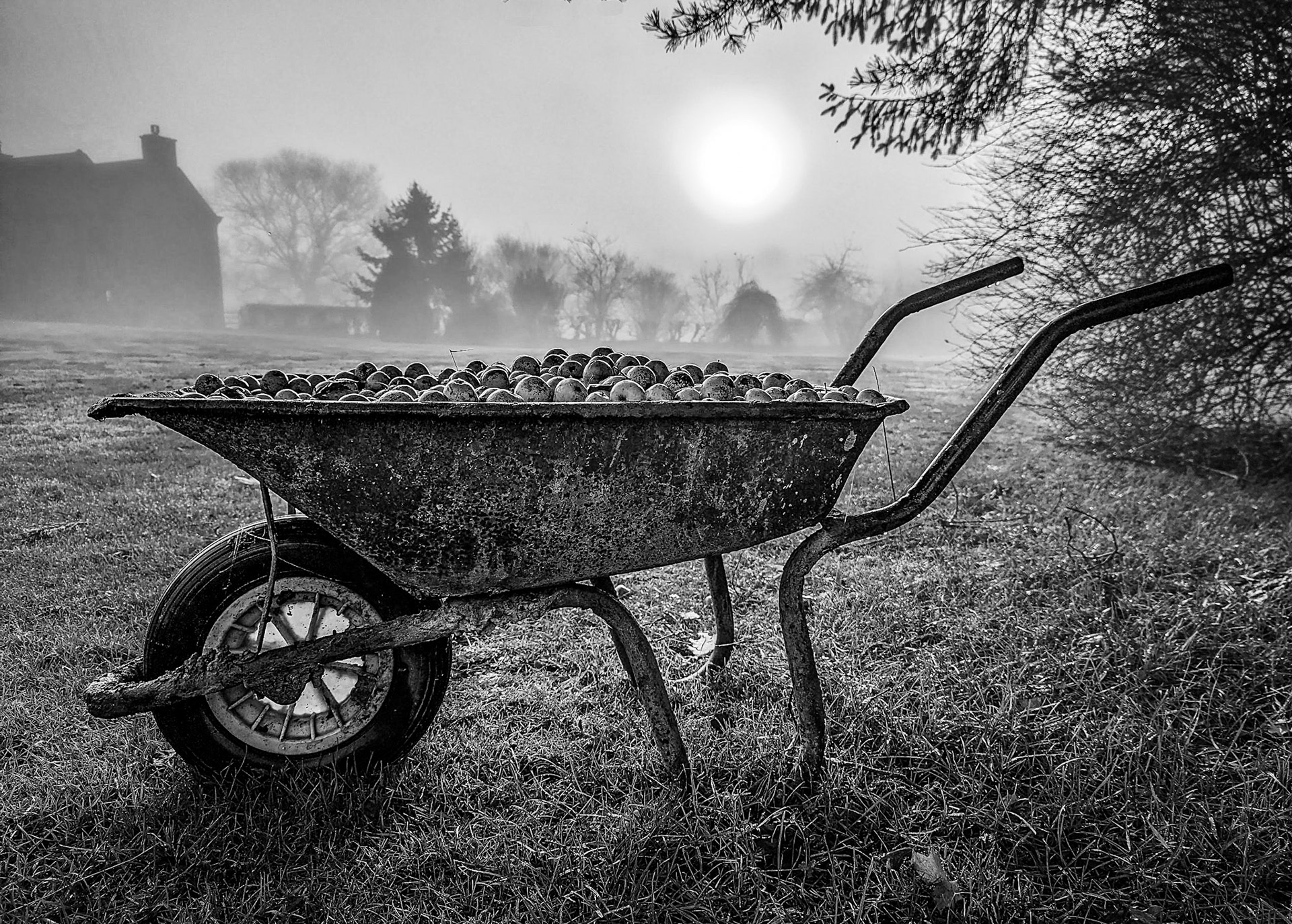 Foggy morning in Little Broughton.