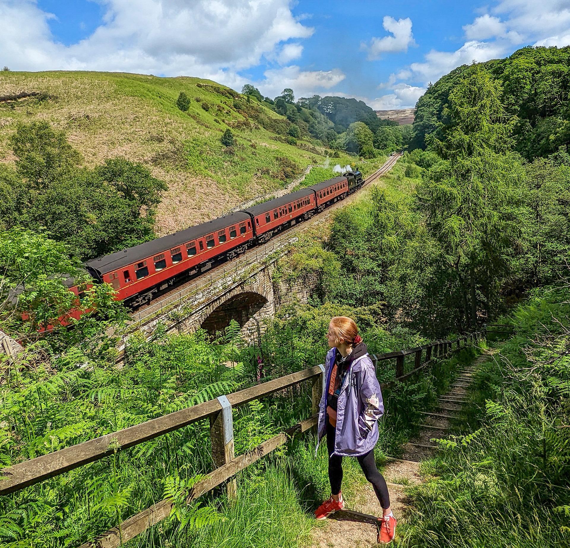 The North York Moors Railway near Goathland
