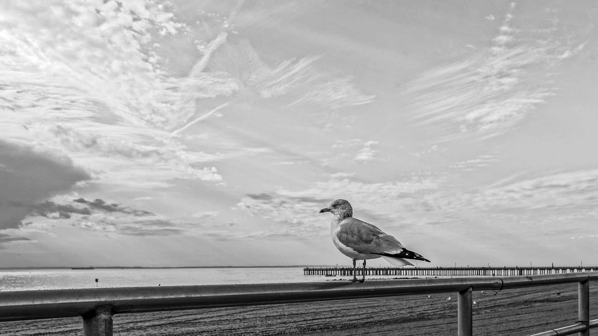 Coney Island winter morning