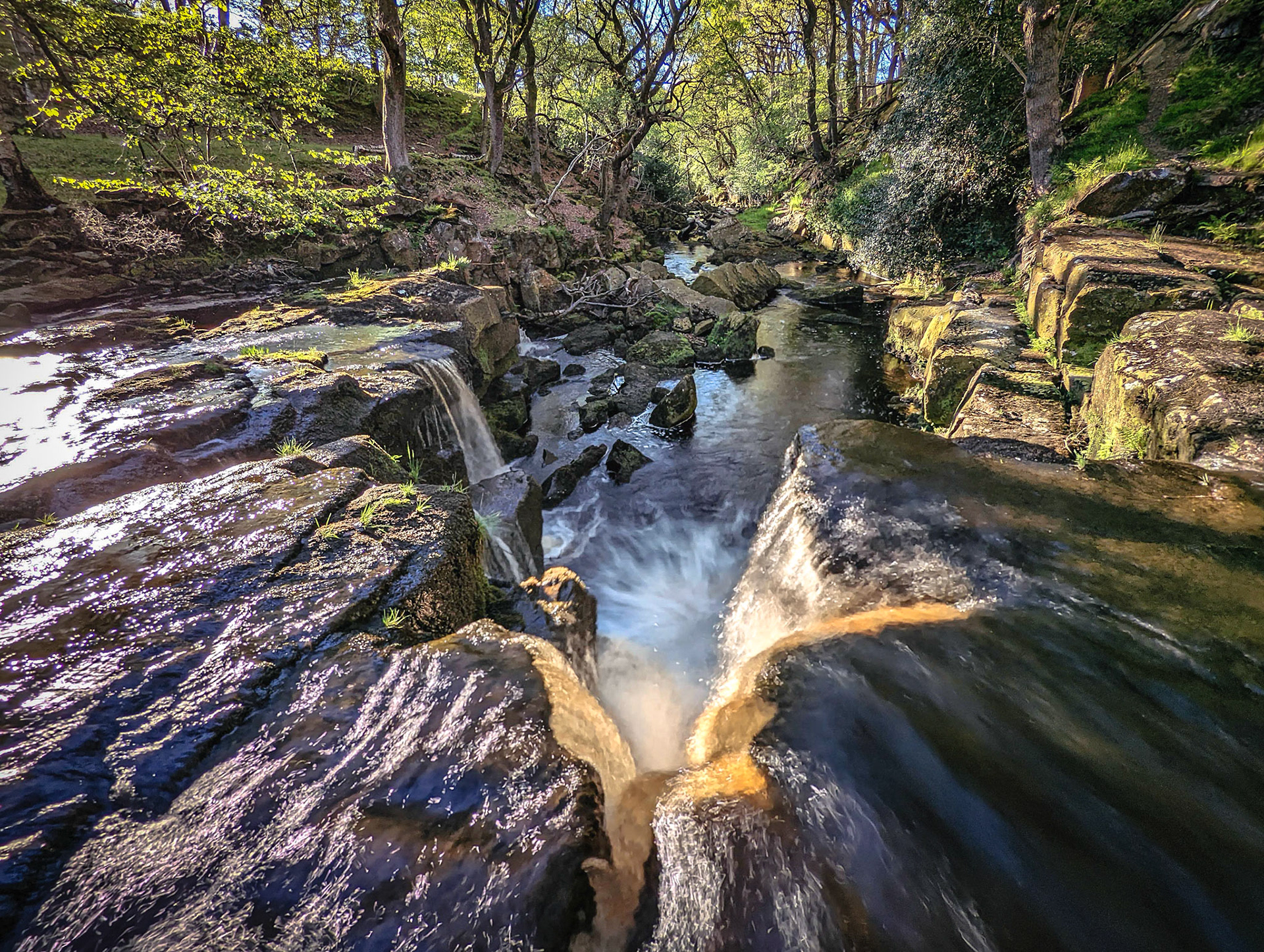 Nelly Ayre Foss, North York moors