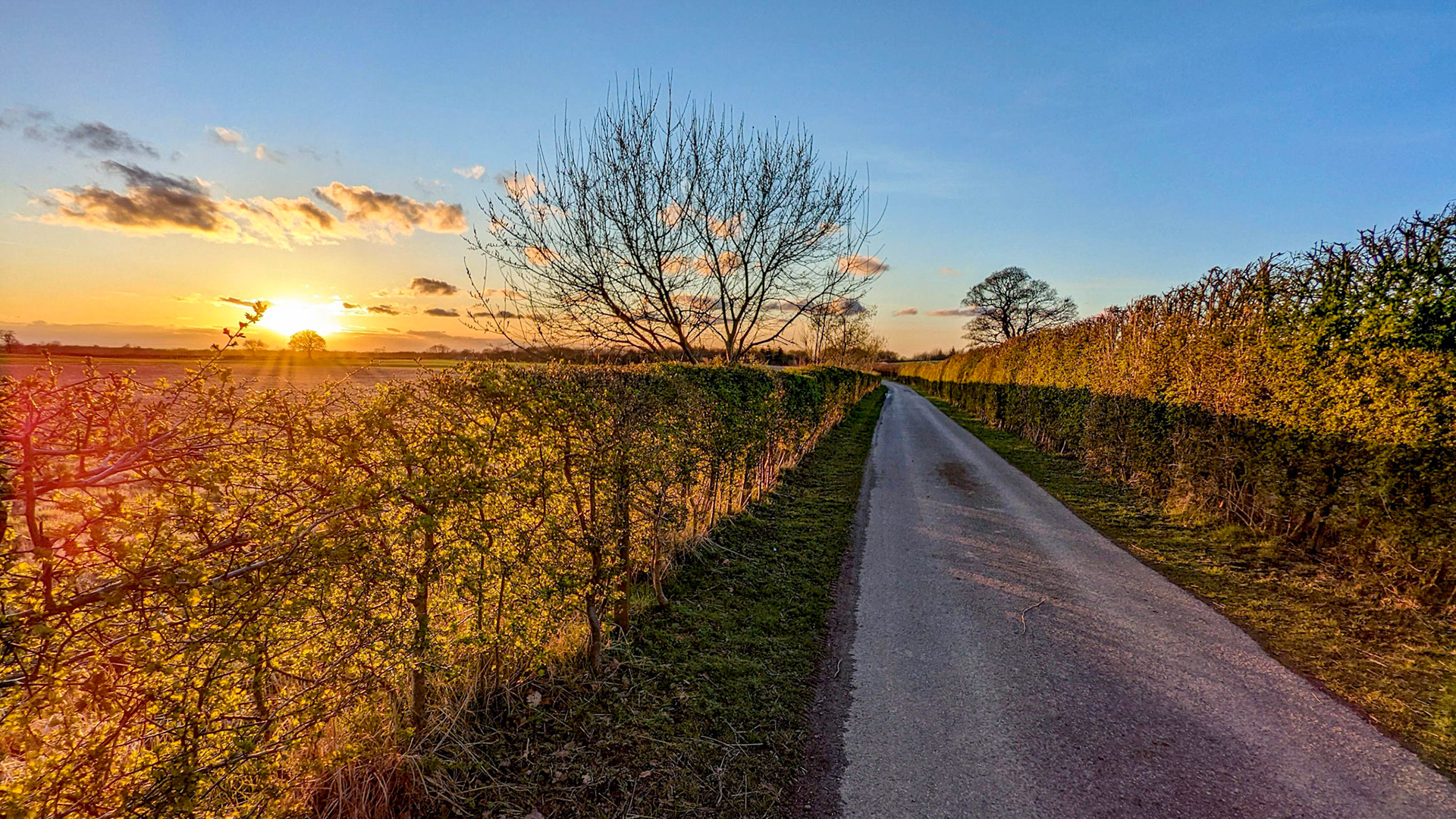 My way home.