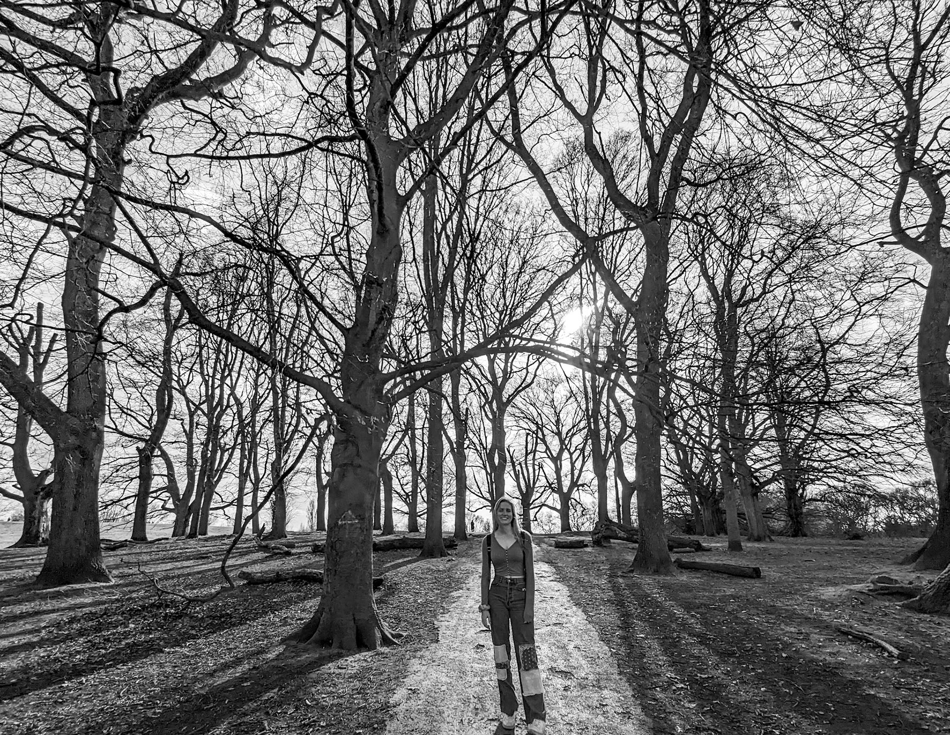 Hampstead Heath
