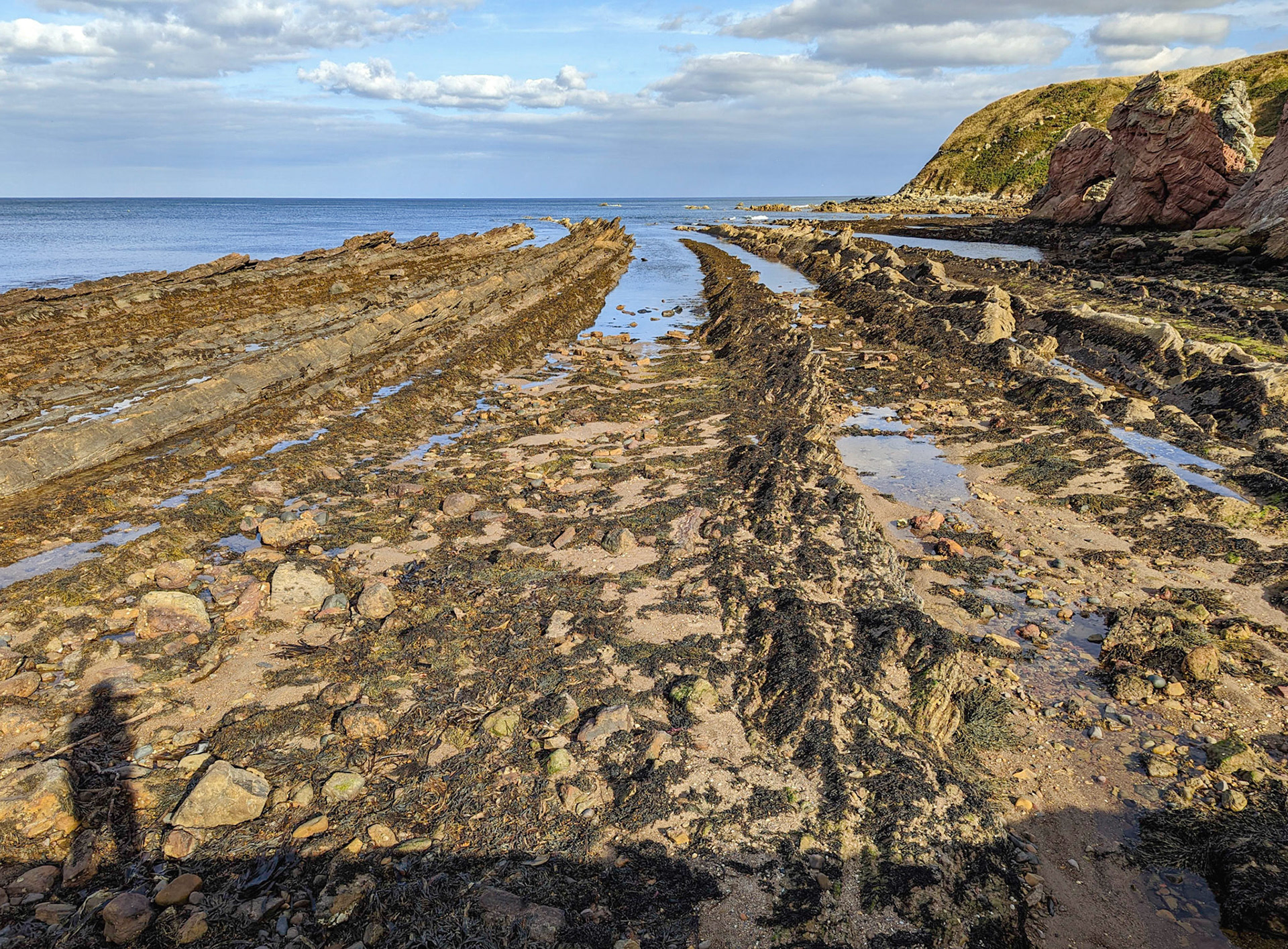 Cove