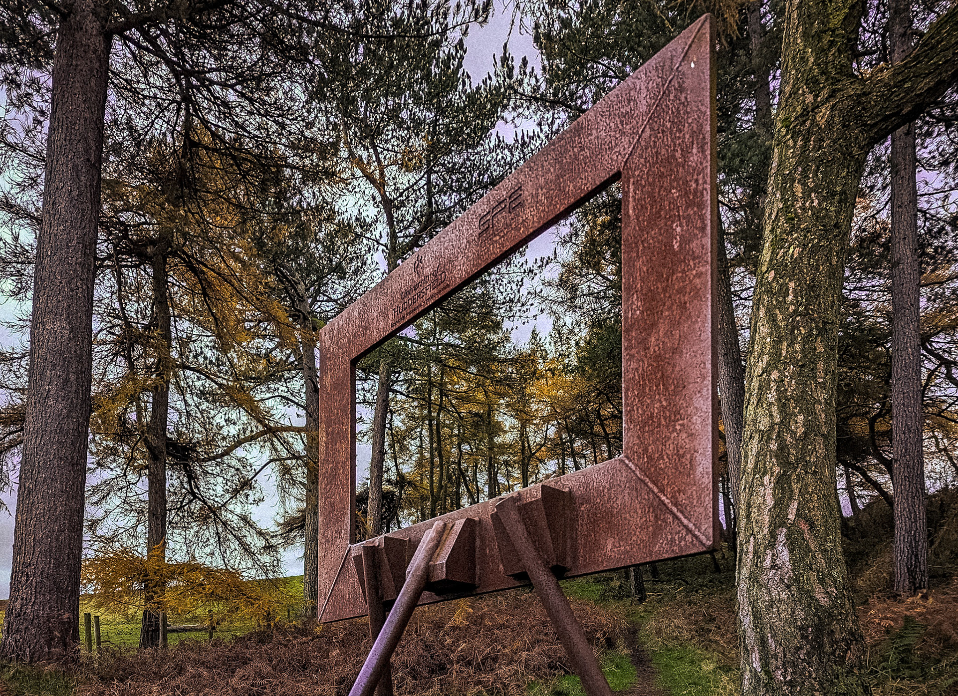 'Framing the landscape', Cliff Rigg woods.