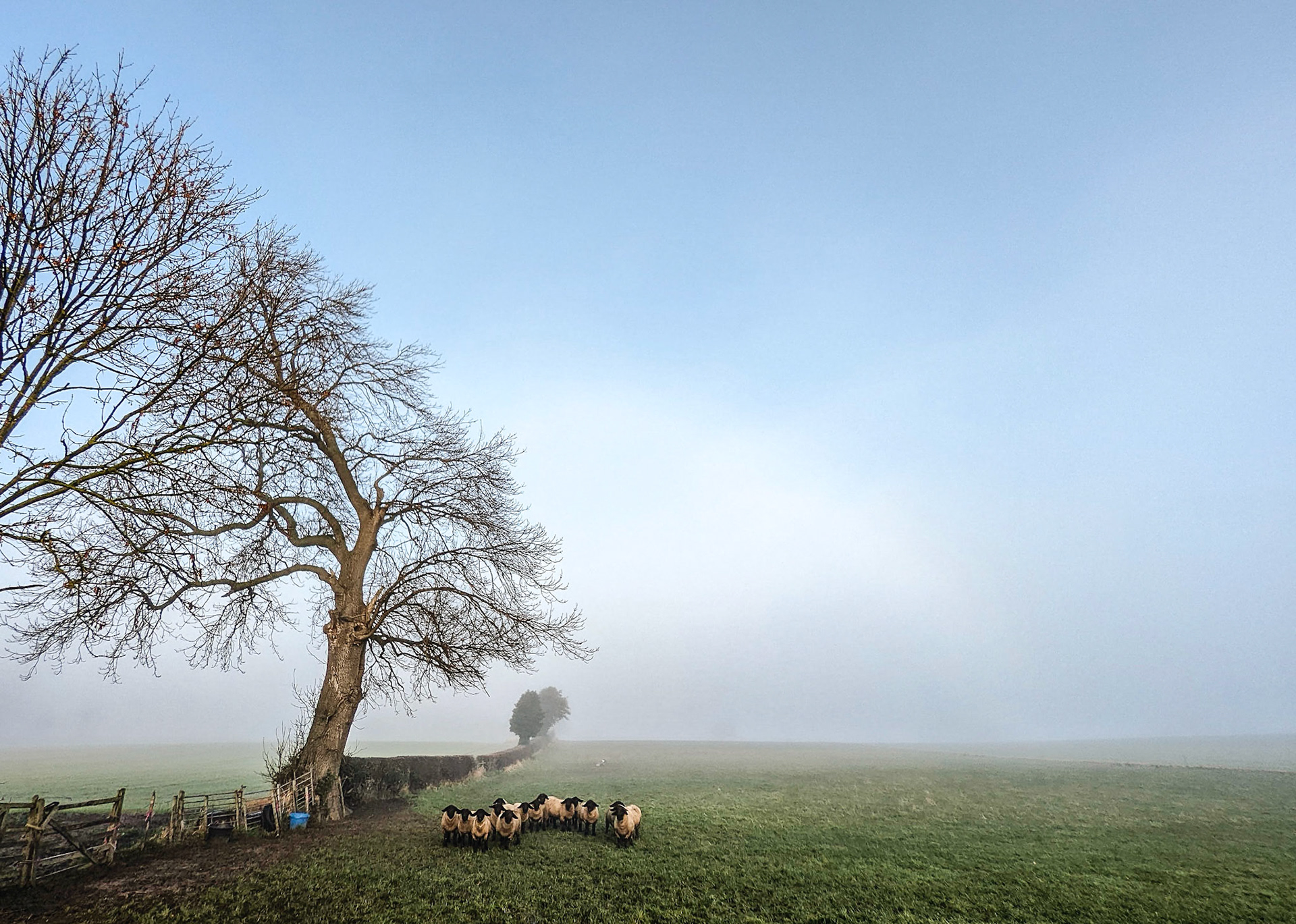 Fog clearing in Little Broughton.