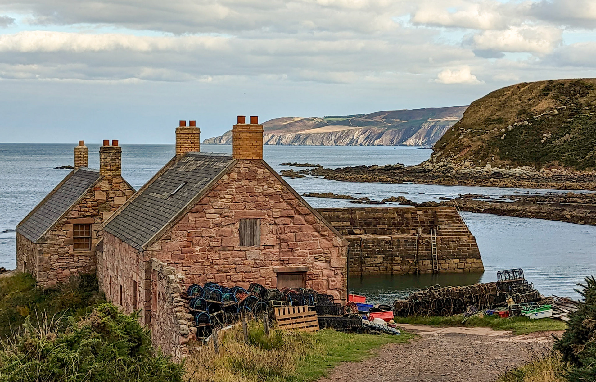 Cove