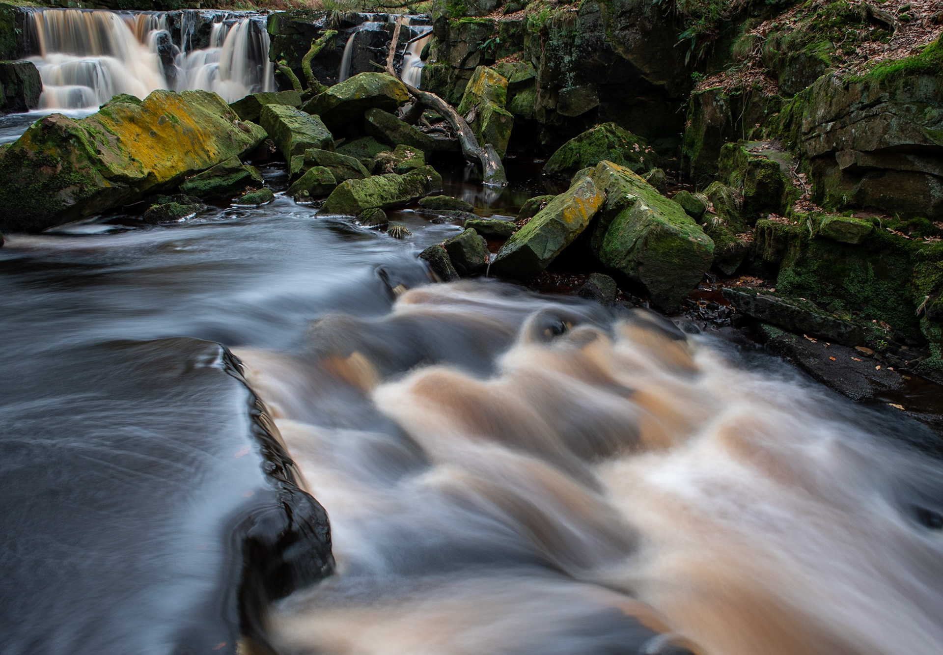 Nelly Ayre Foss, near Goathland