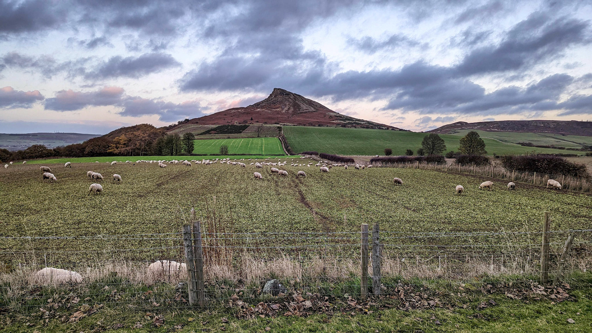 Roseberry Topping