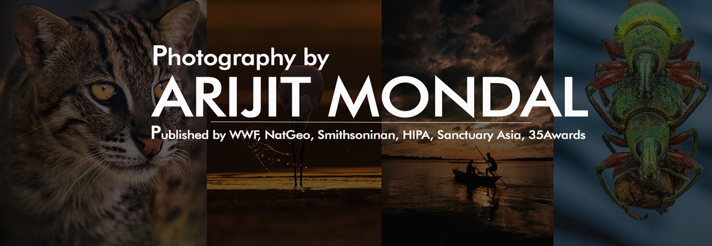 arijit mondal