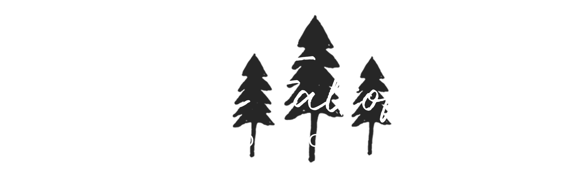 Jen Falkofske Photography