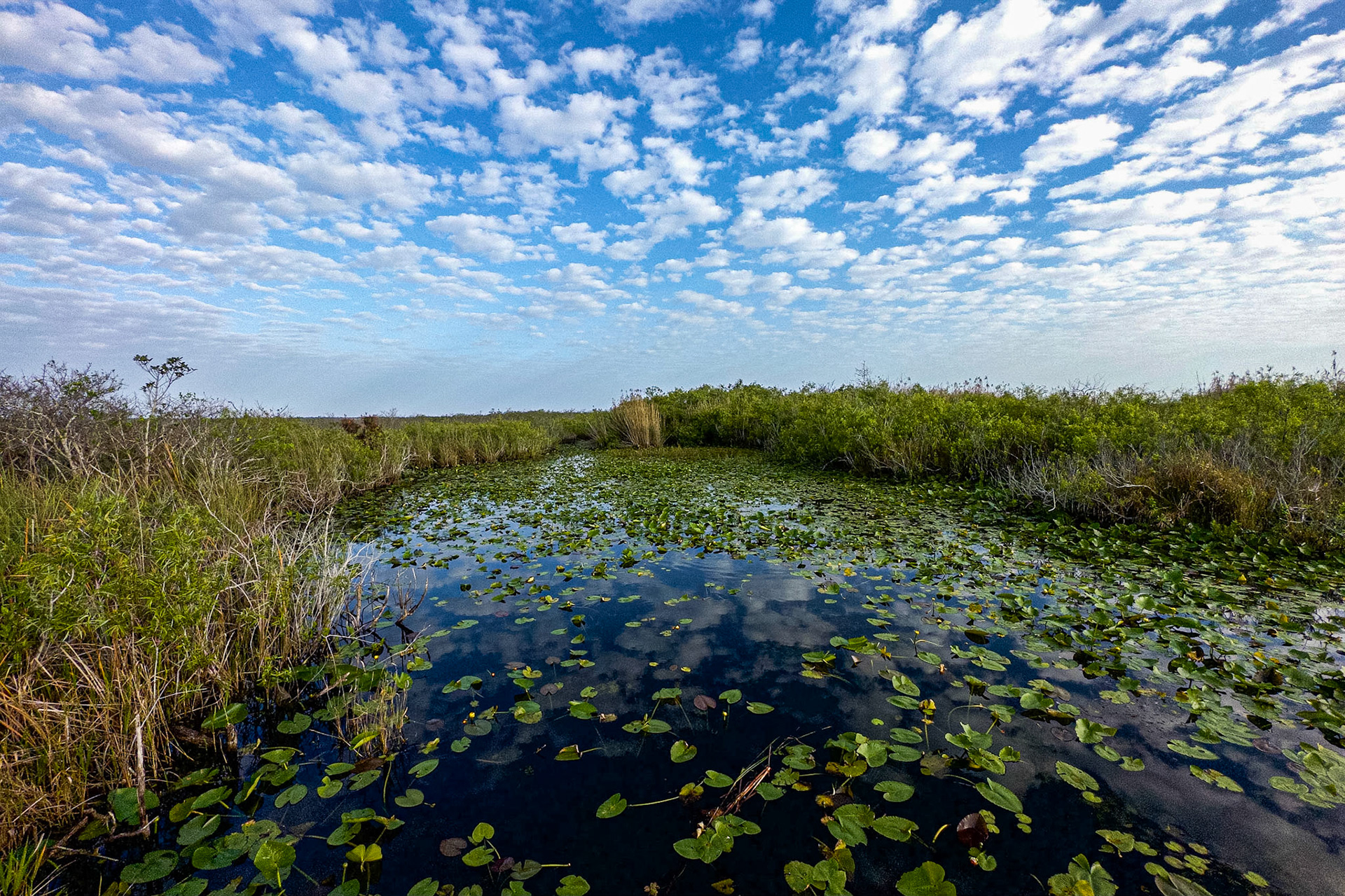 Anhinga Trail