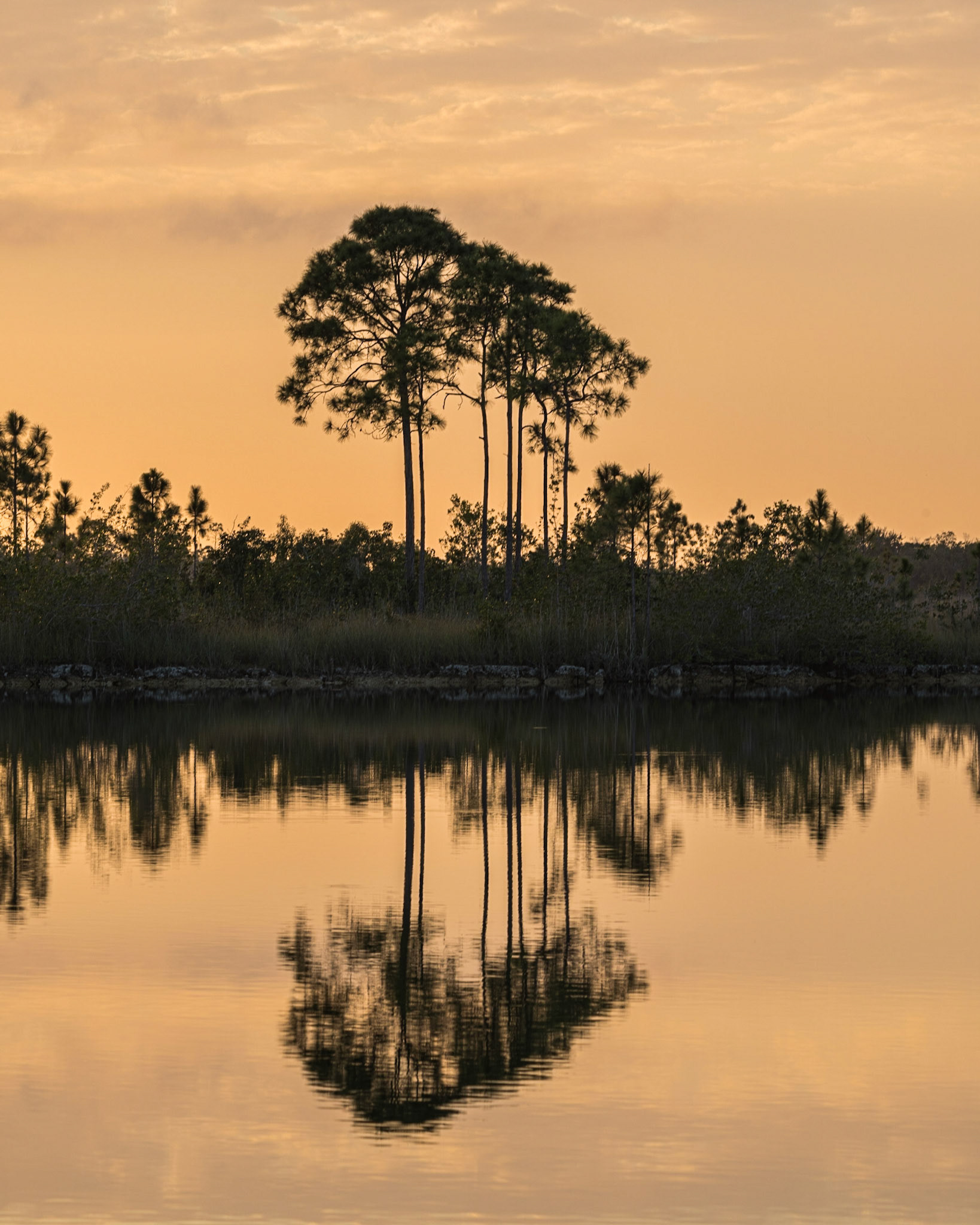 Pine Glades Lake