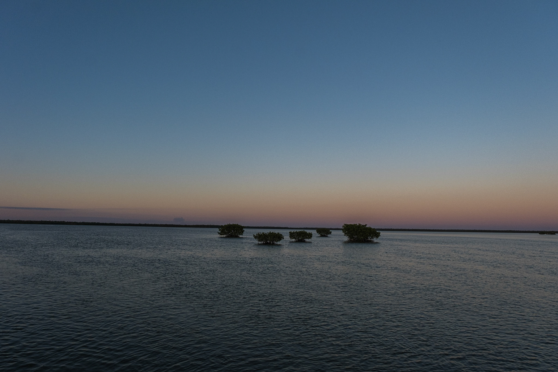 Ten Thousand Islands