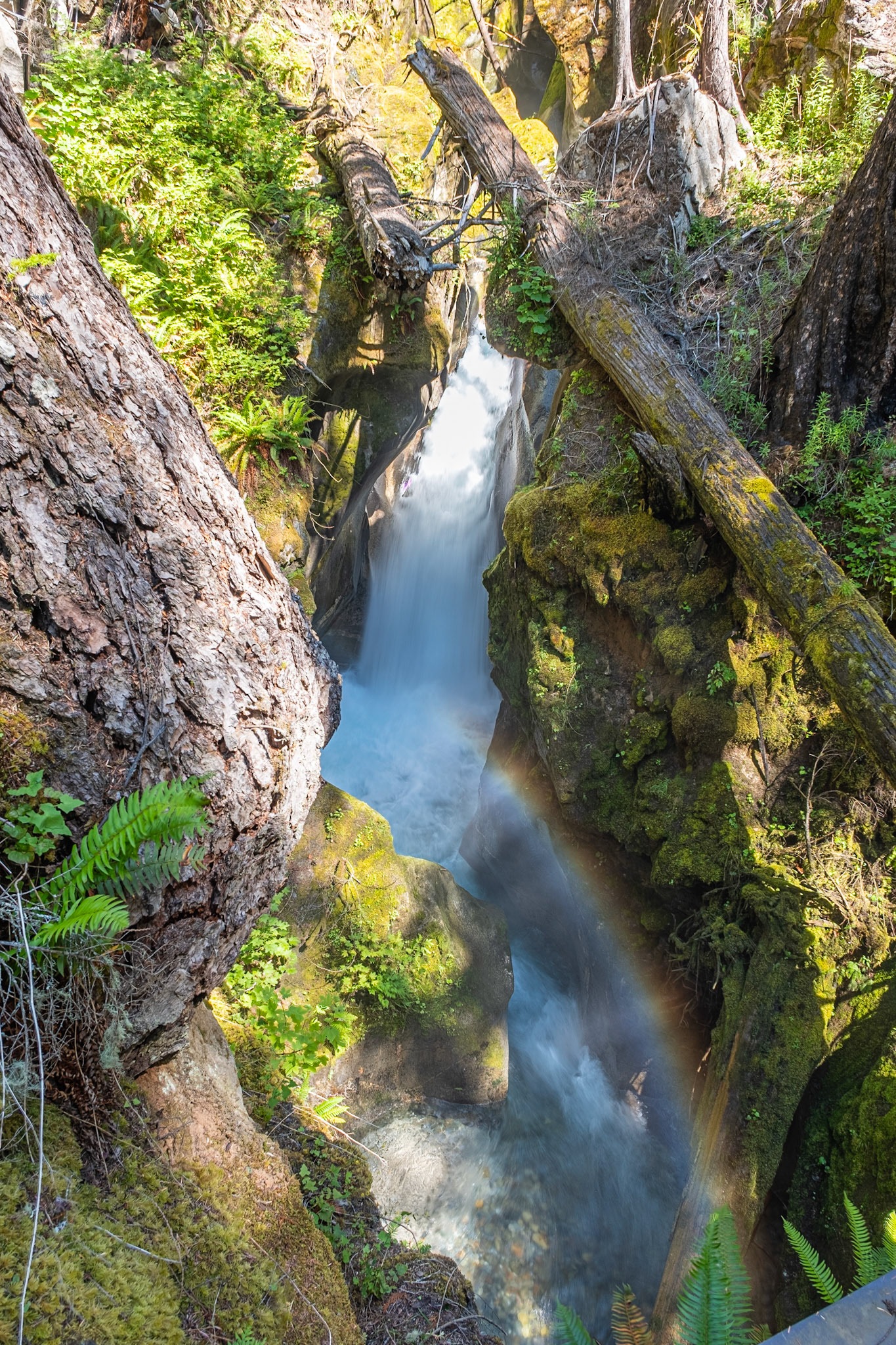 Ladder Creek Falls