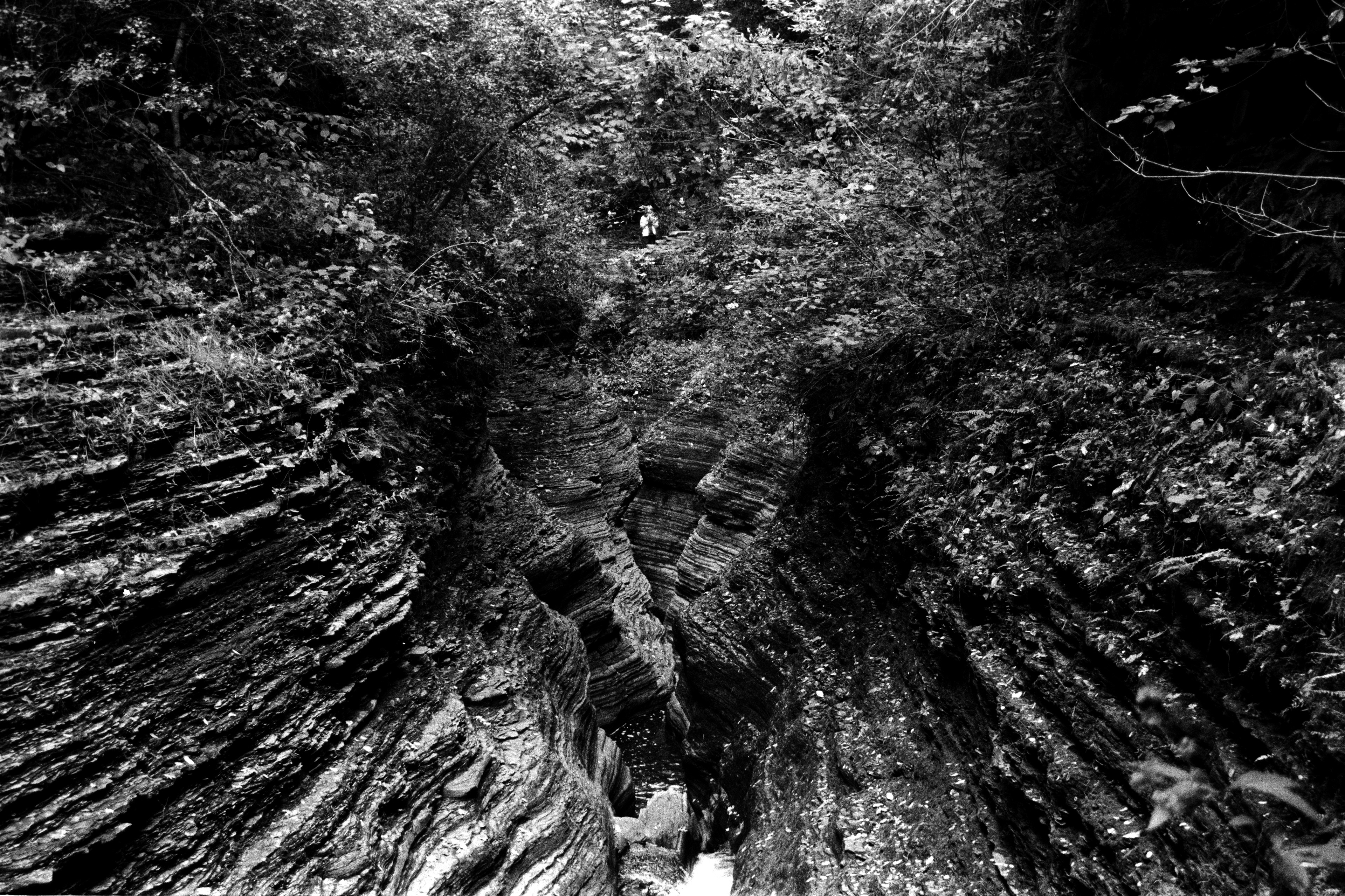 Watkin's Glen State Park, NY 2023