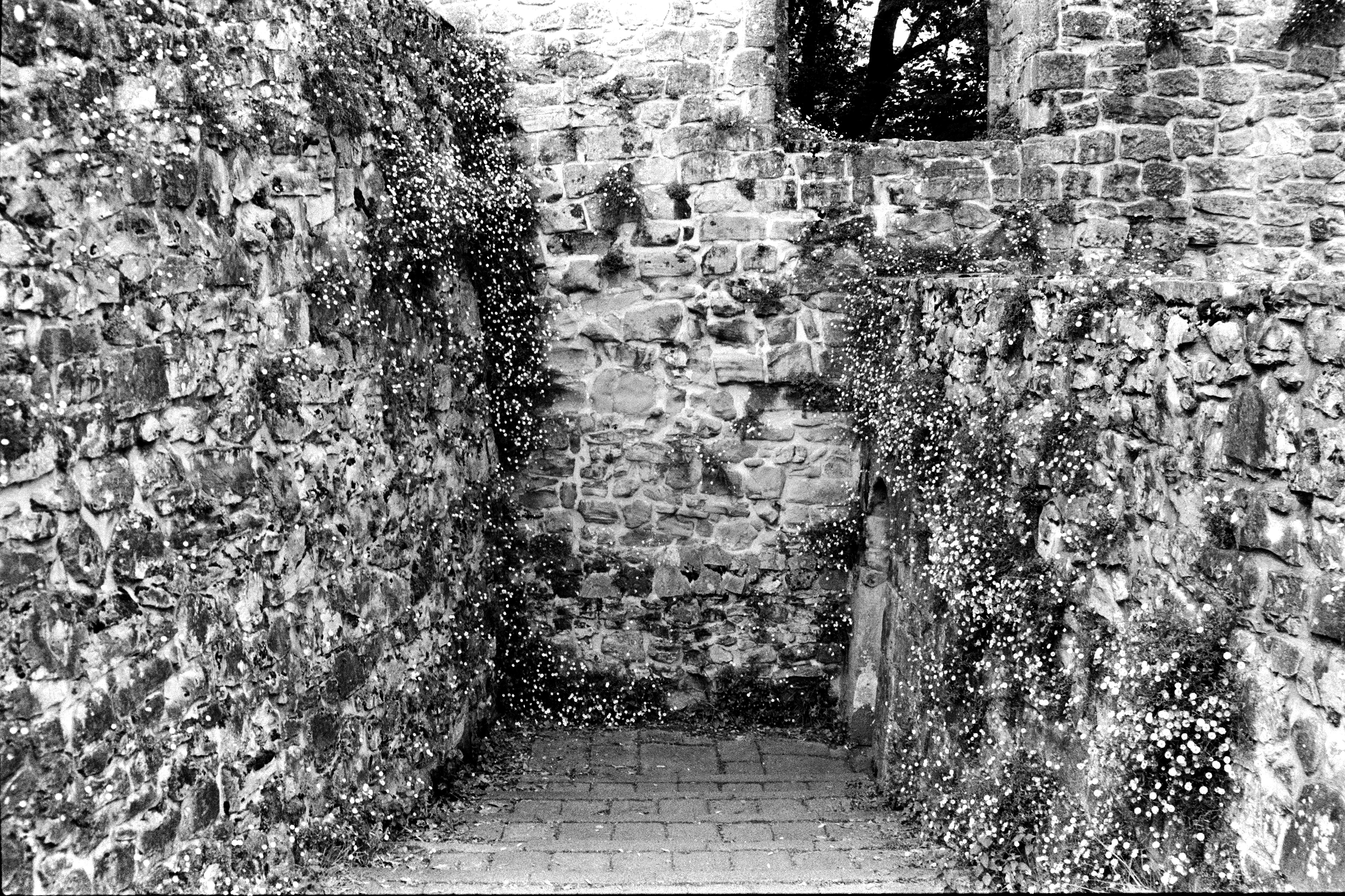 Donostia, Spain 2023