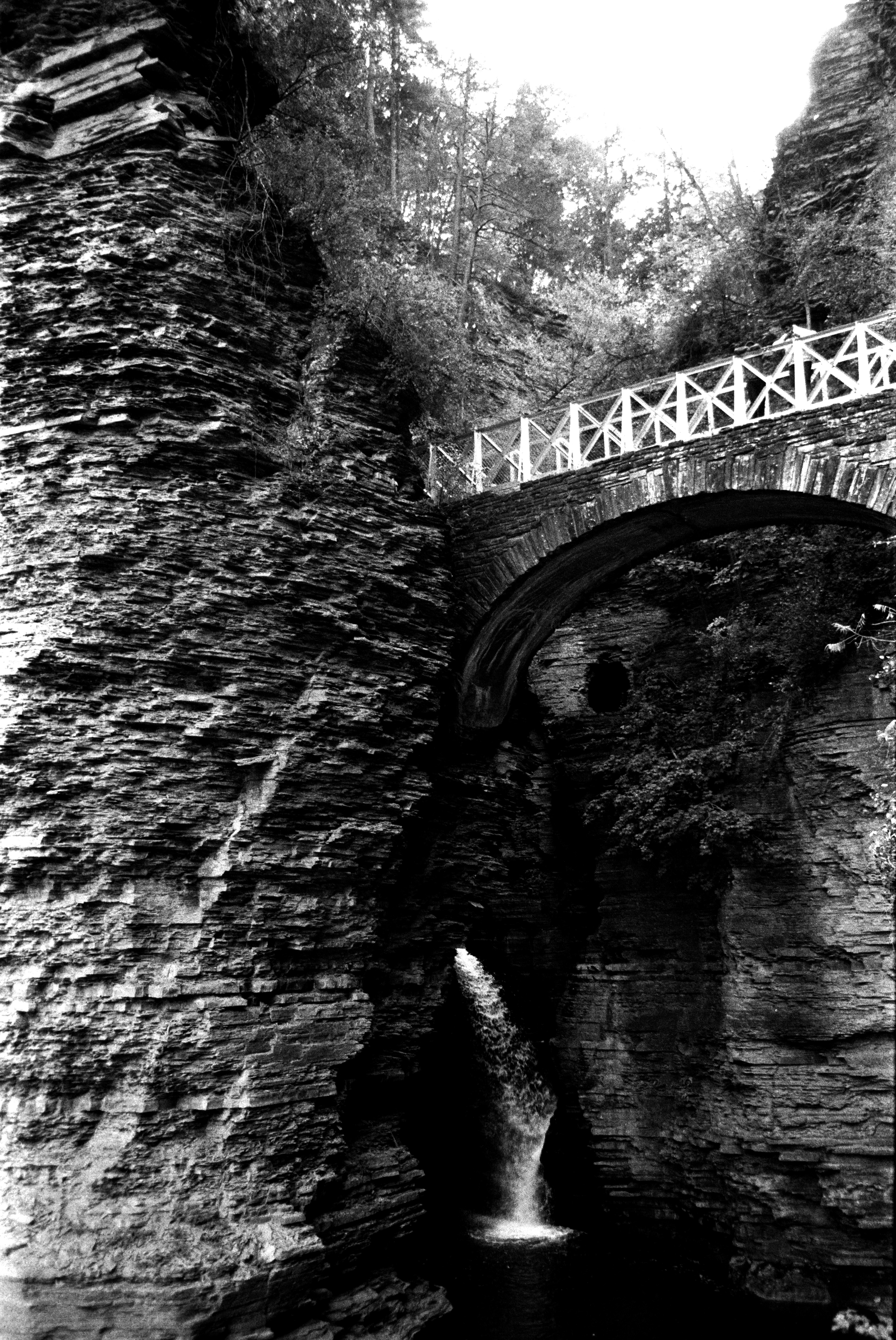 Watkin's Glen State Park, NY 2023